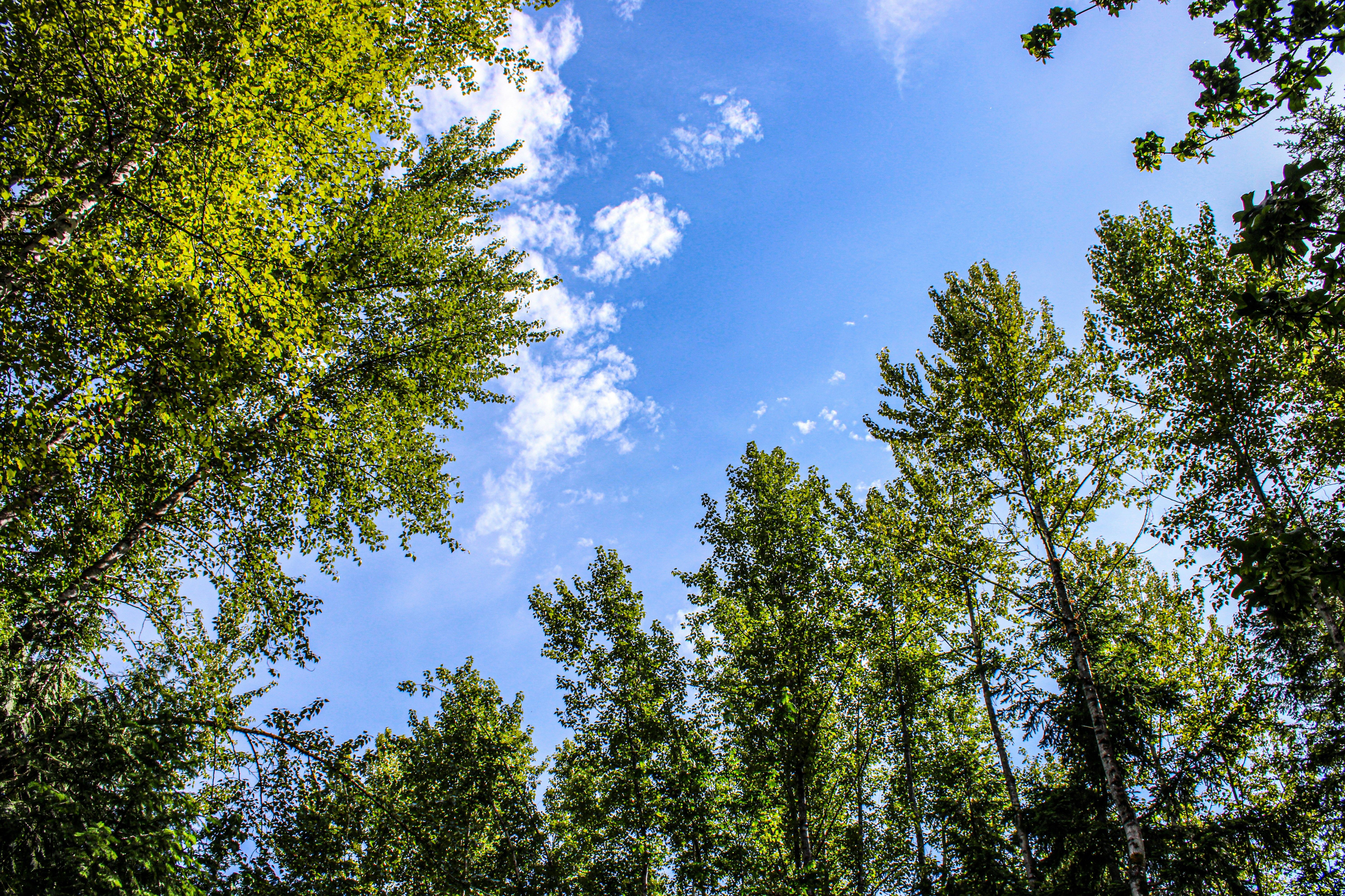 Photo by prphotography262