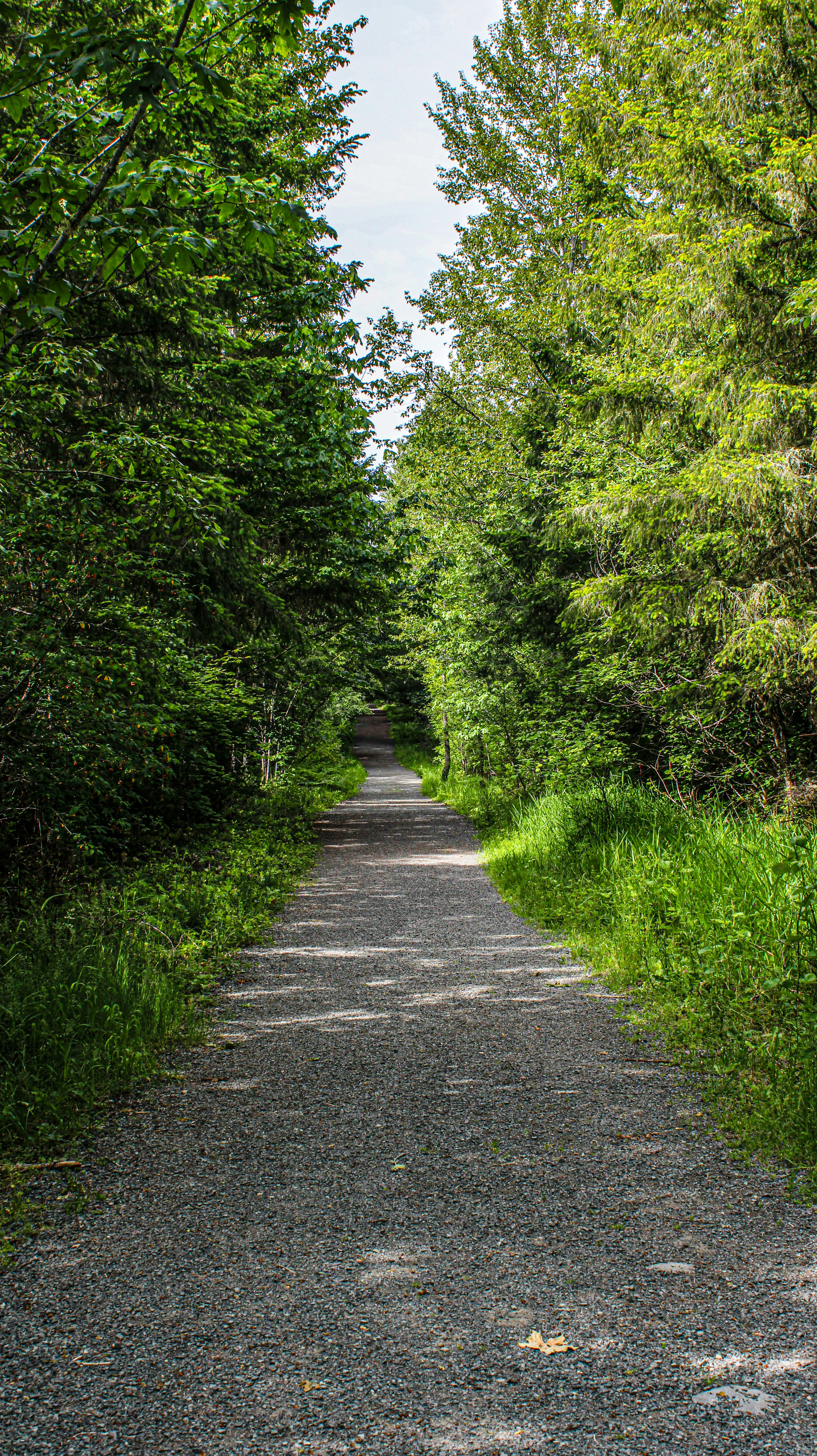 Photo by prphotography262