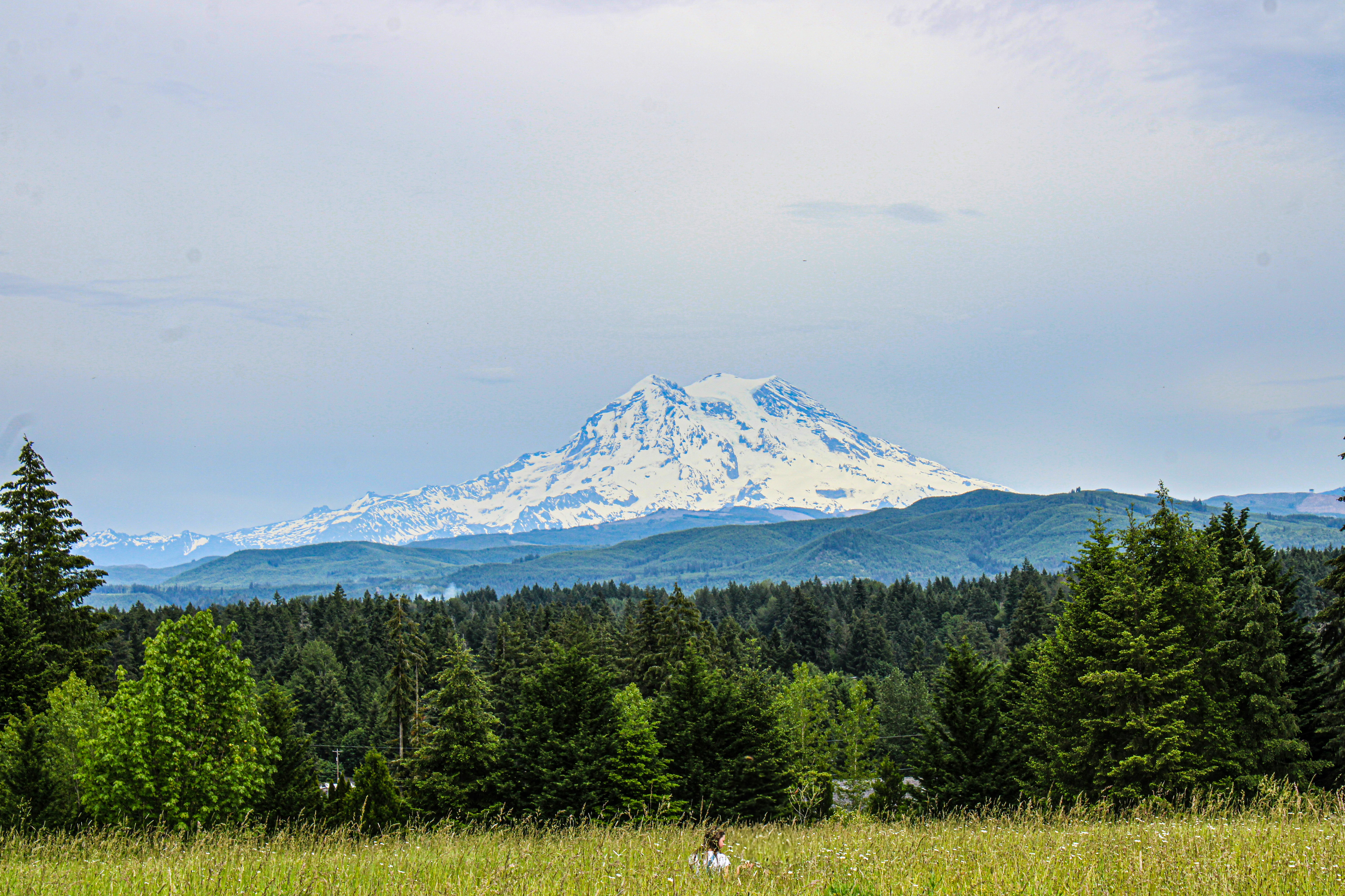 Photo by prphotography262