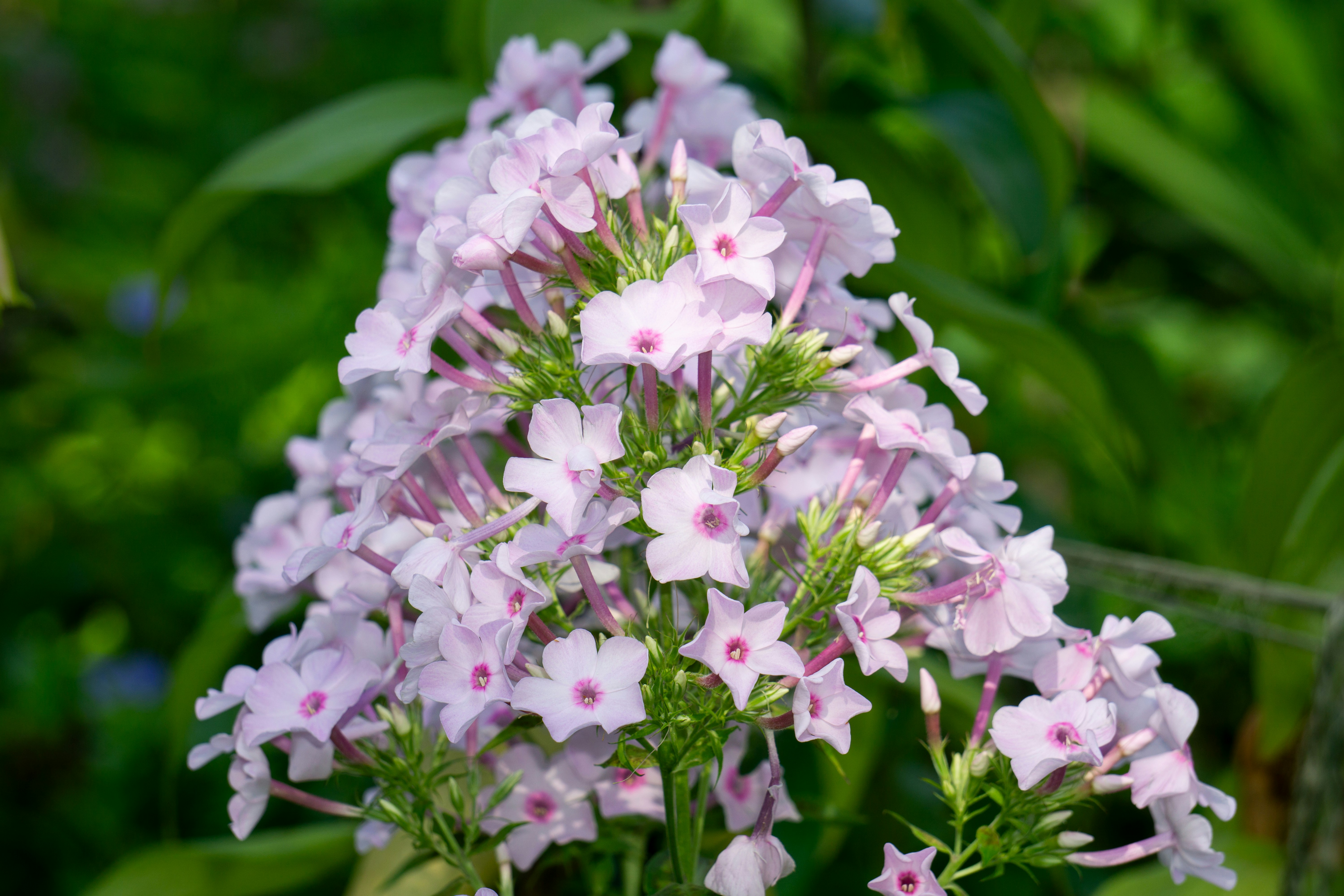 Photo by aravindreddytarugu