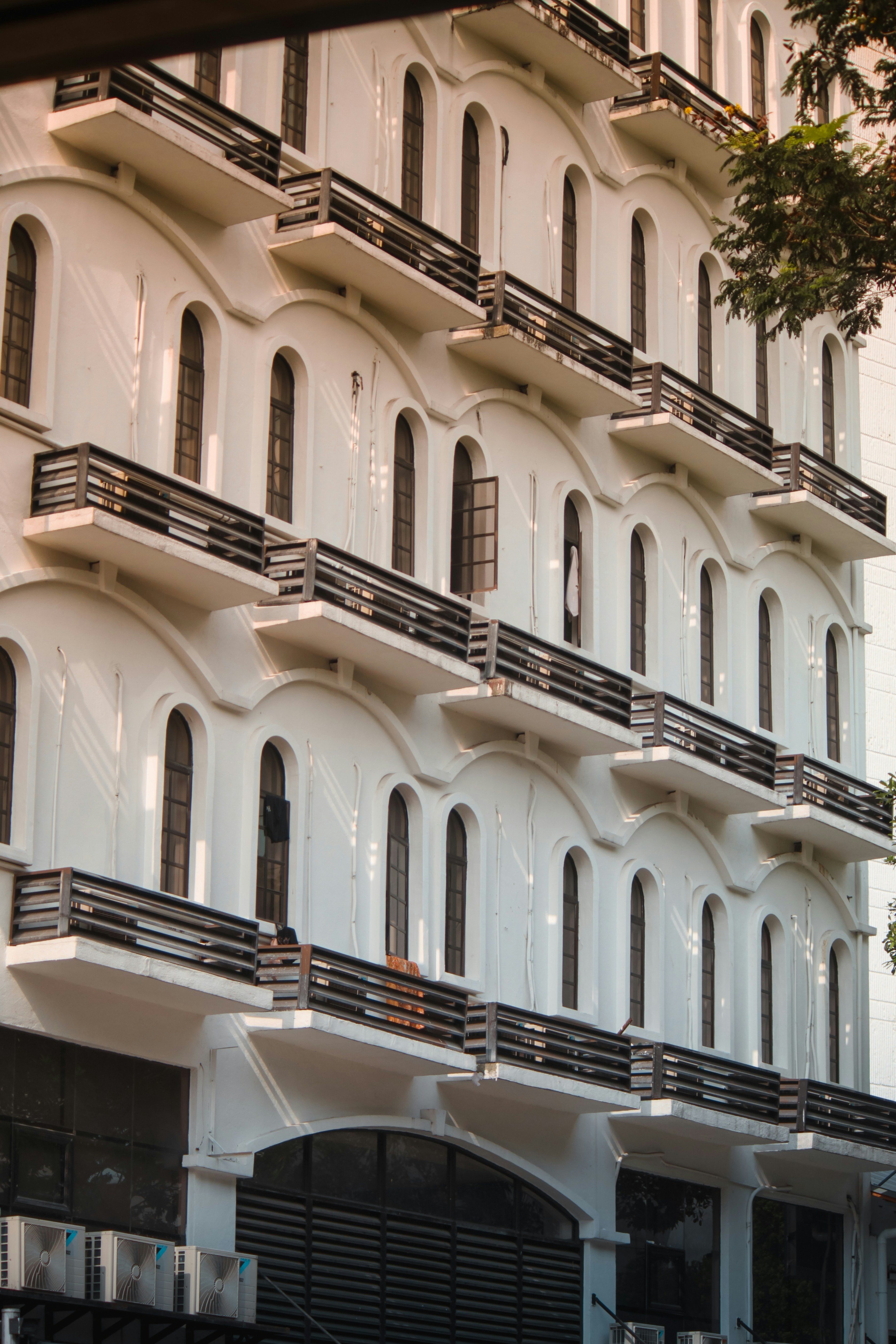 Photo by netographcapture