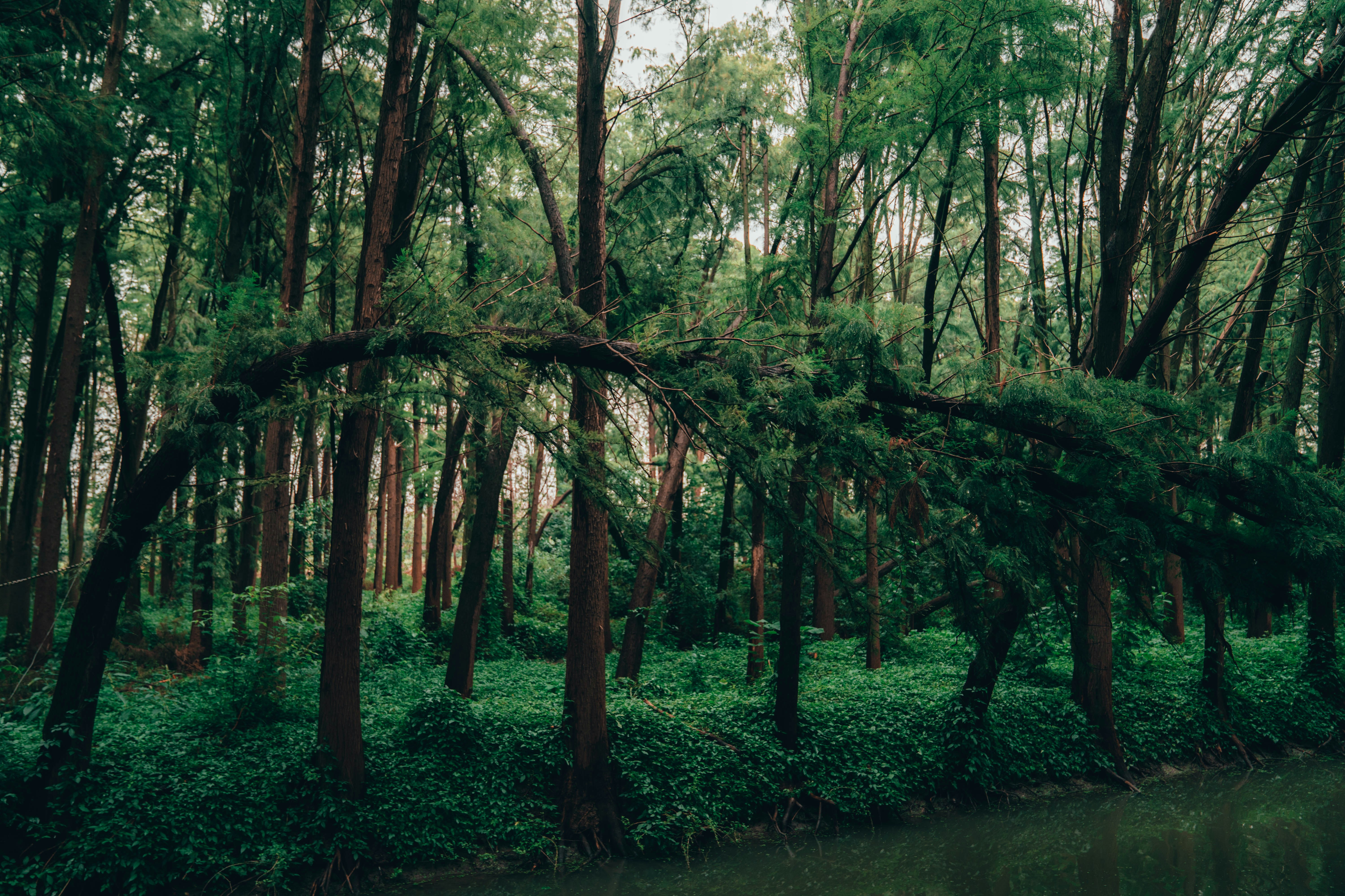 Photo by muffinshire