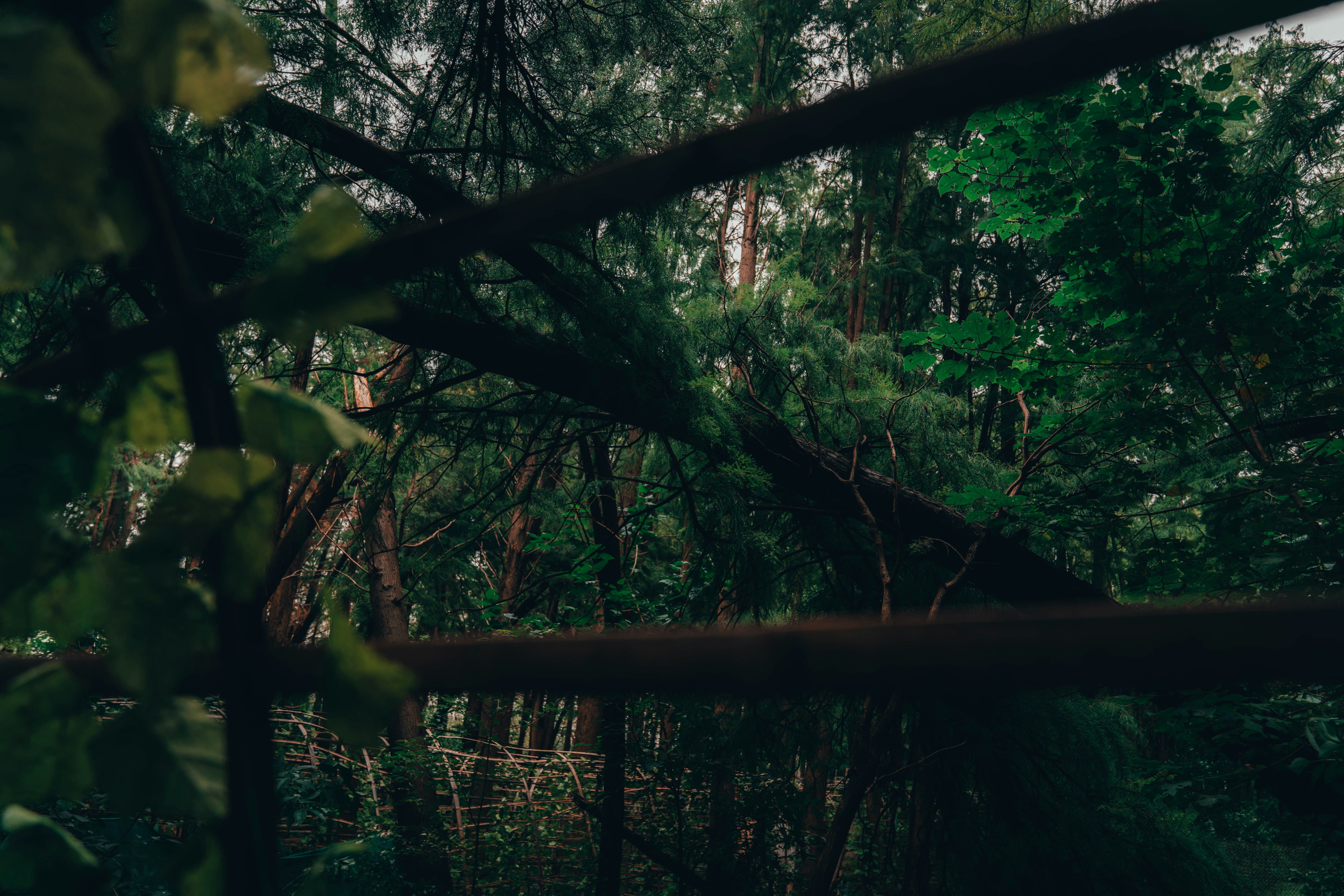 Photo by muffinshire