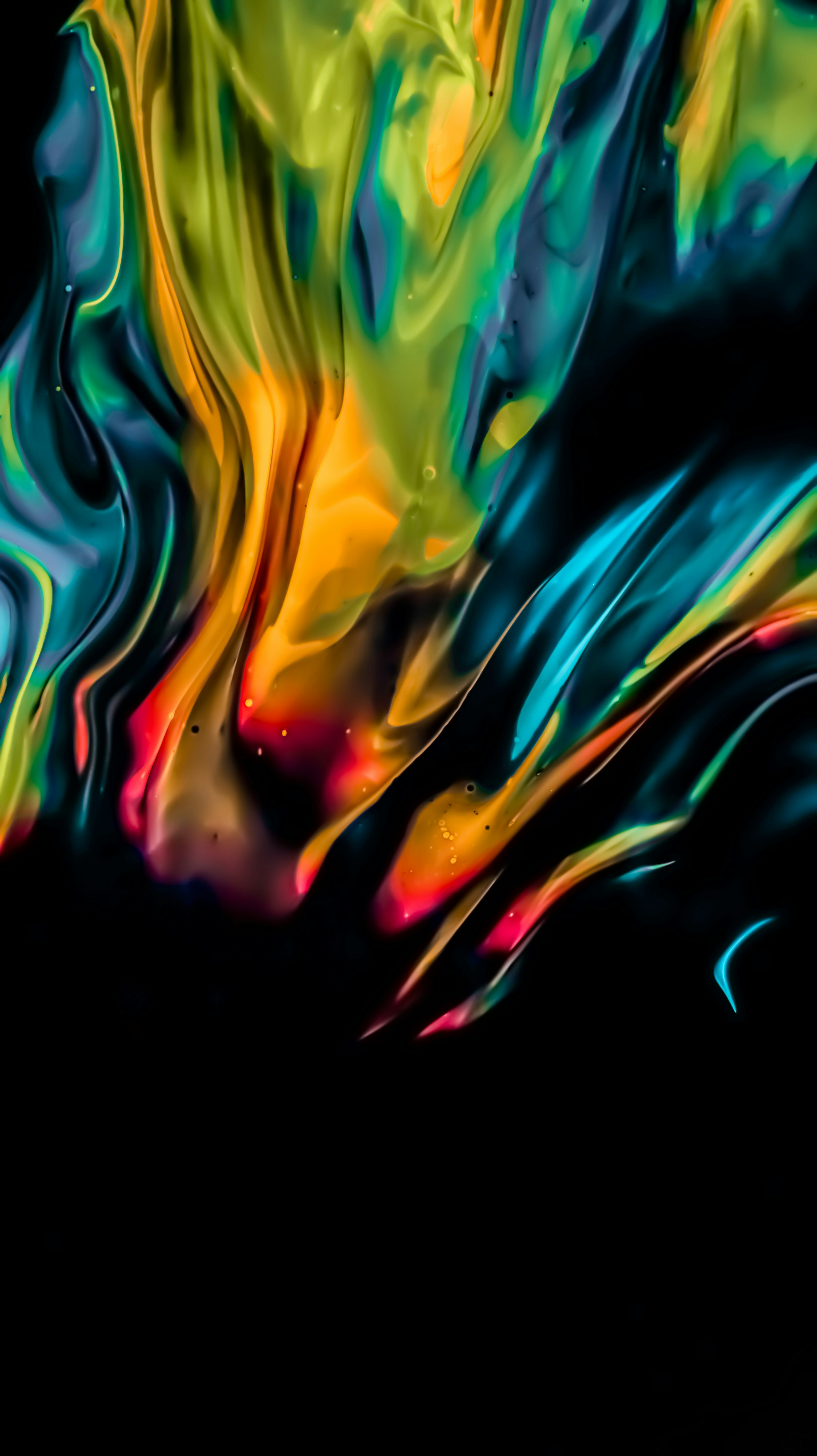 Photo by susan_wilkinson