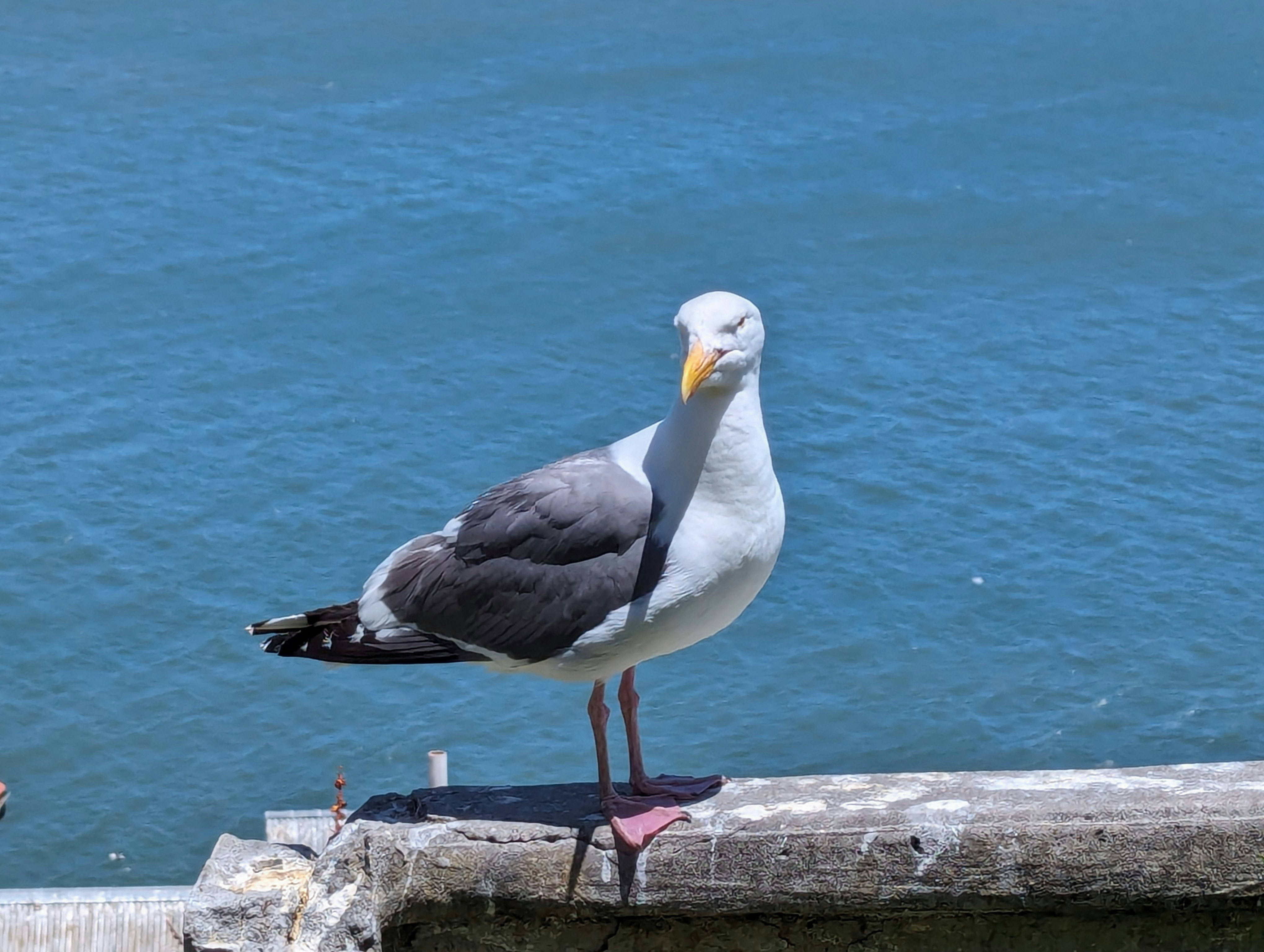 Photo by pixel_jones