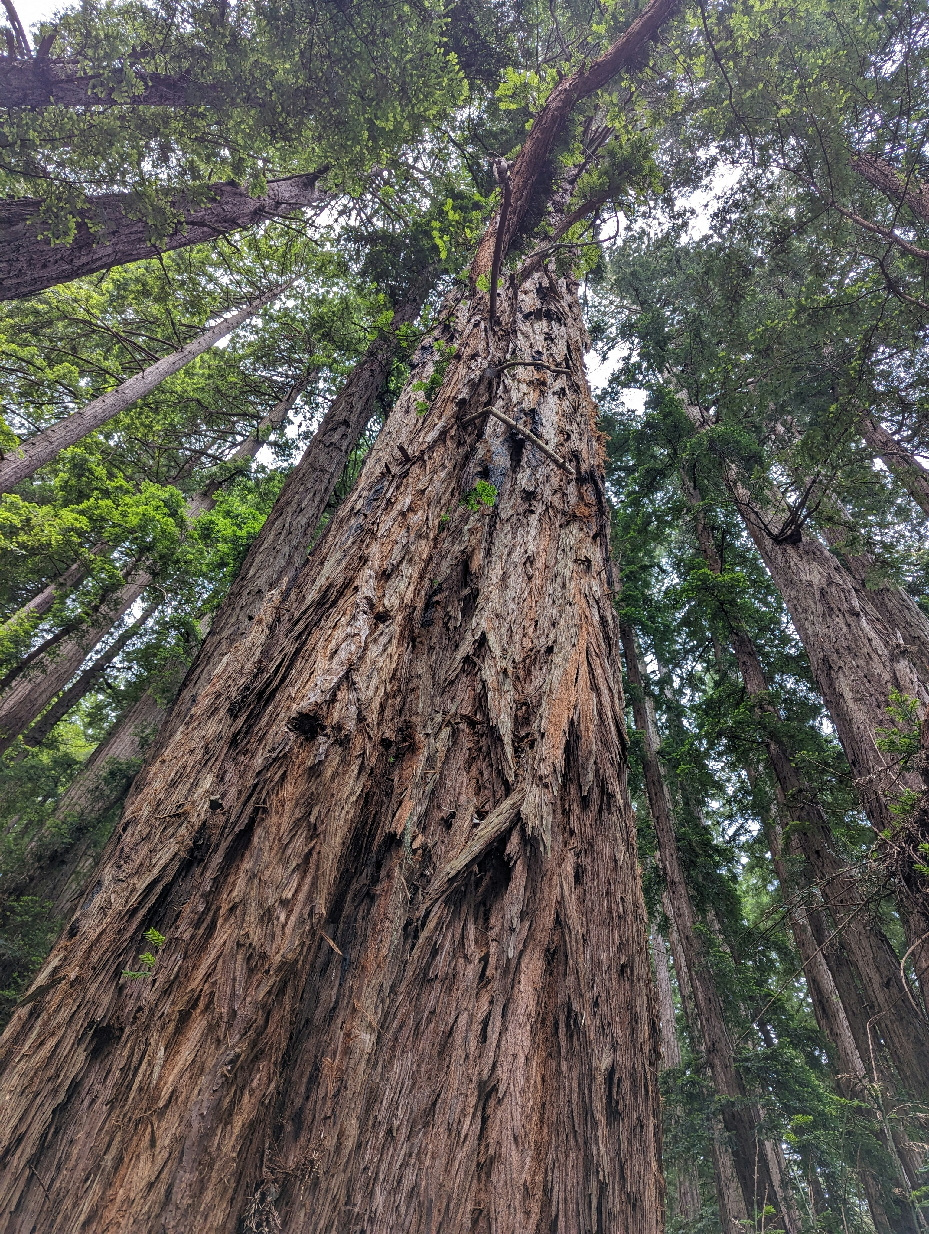 Photo by pixel_jones