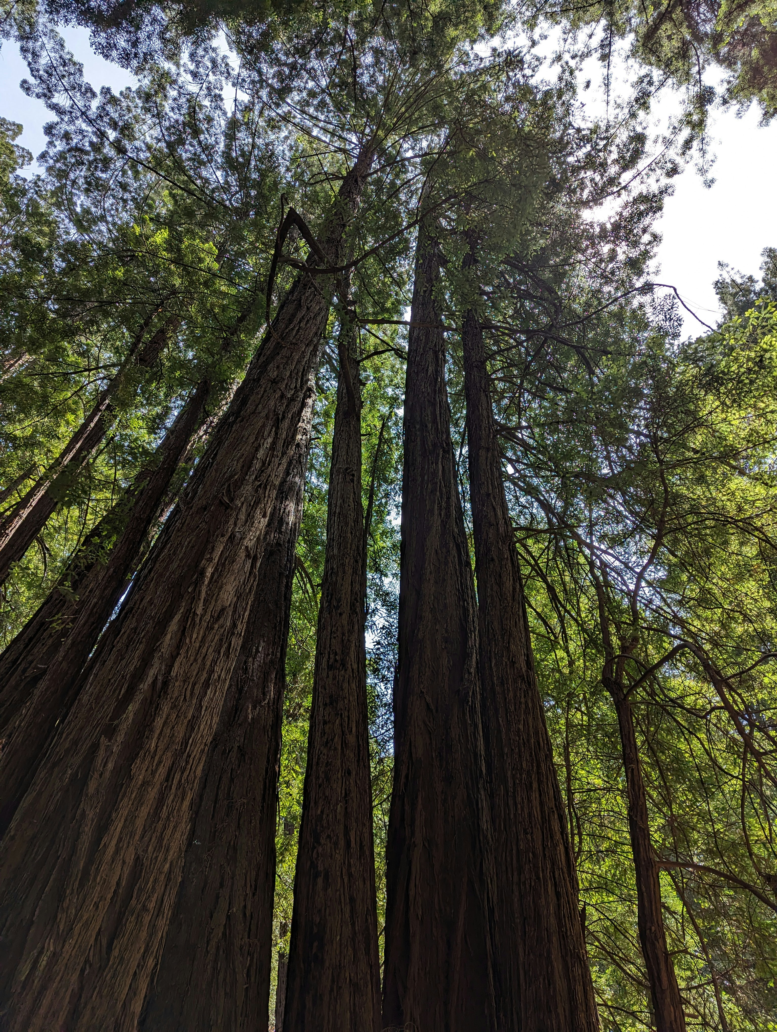 Photo by pixel_jones