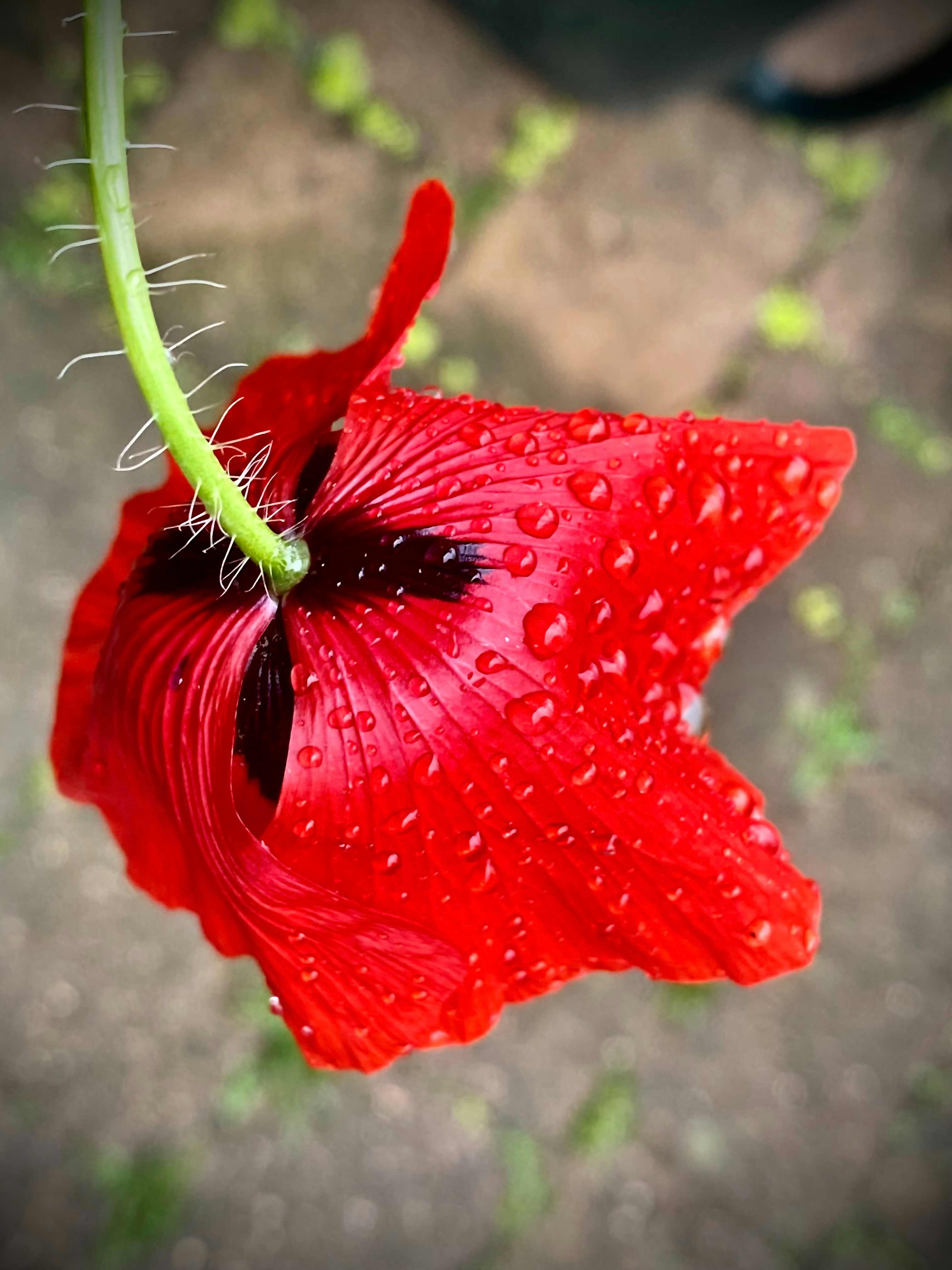 Photo by photographybyraffaele