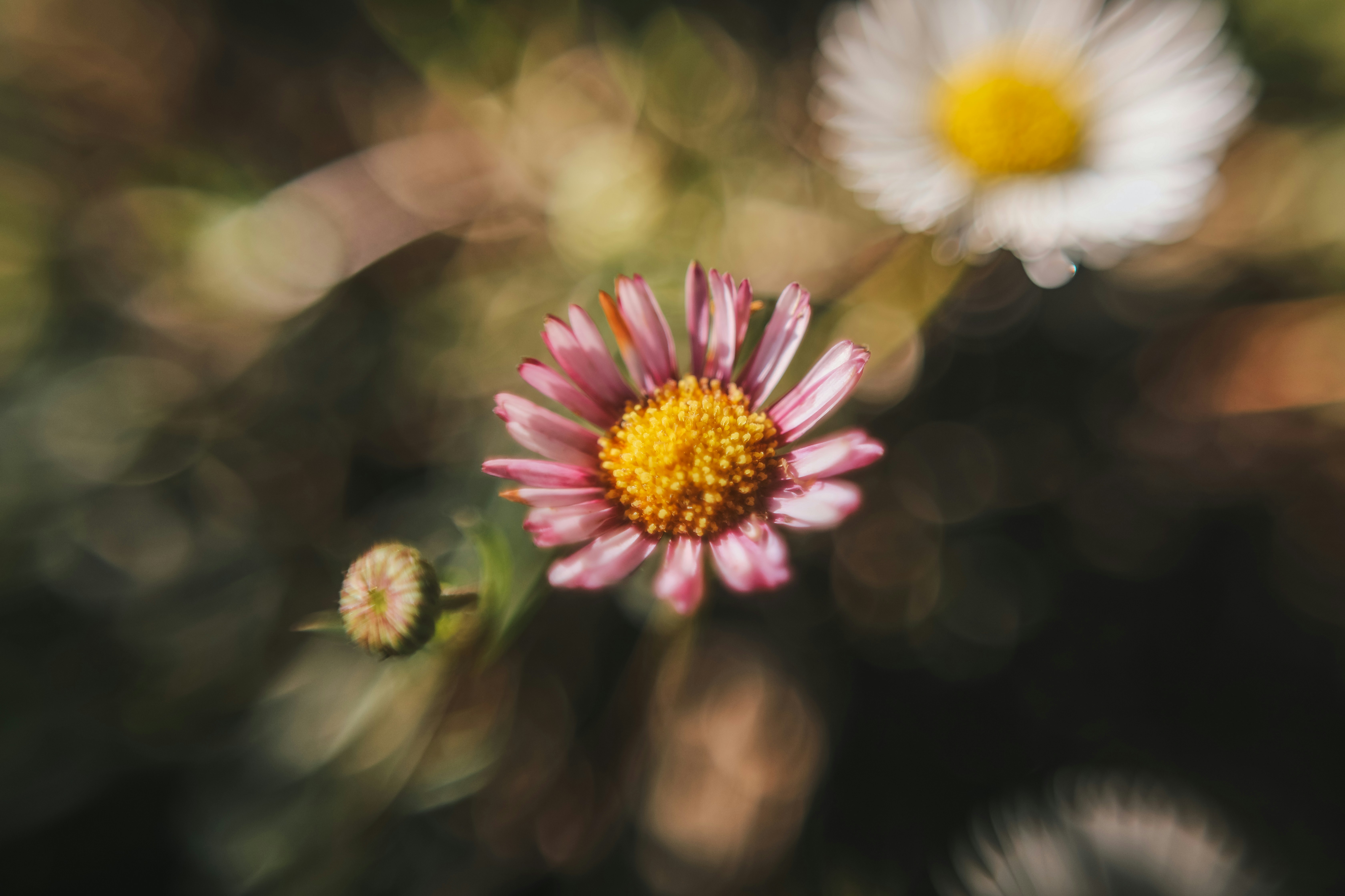 Photo by insidemyframe