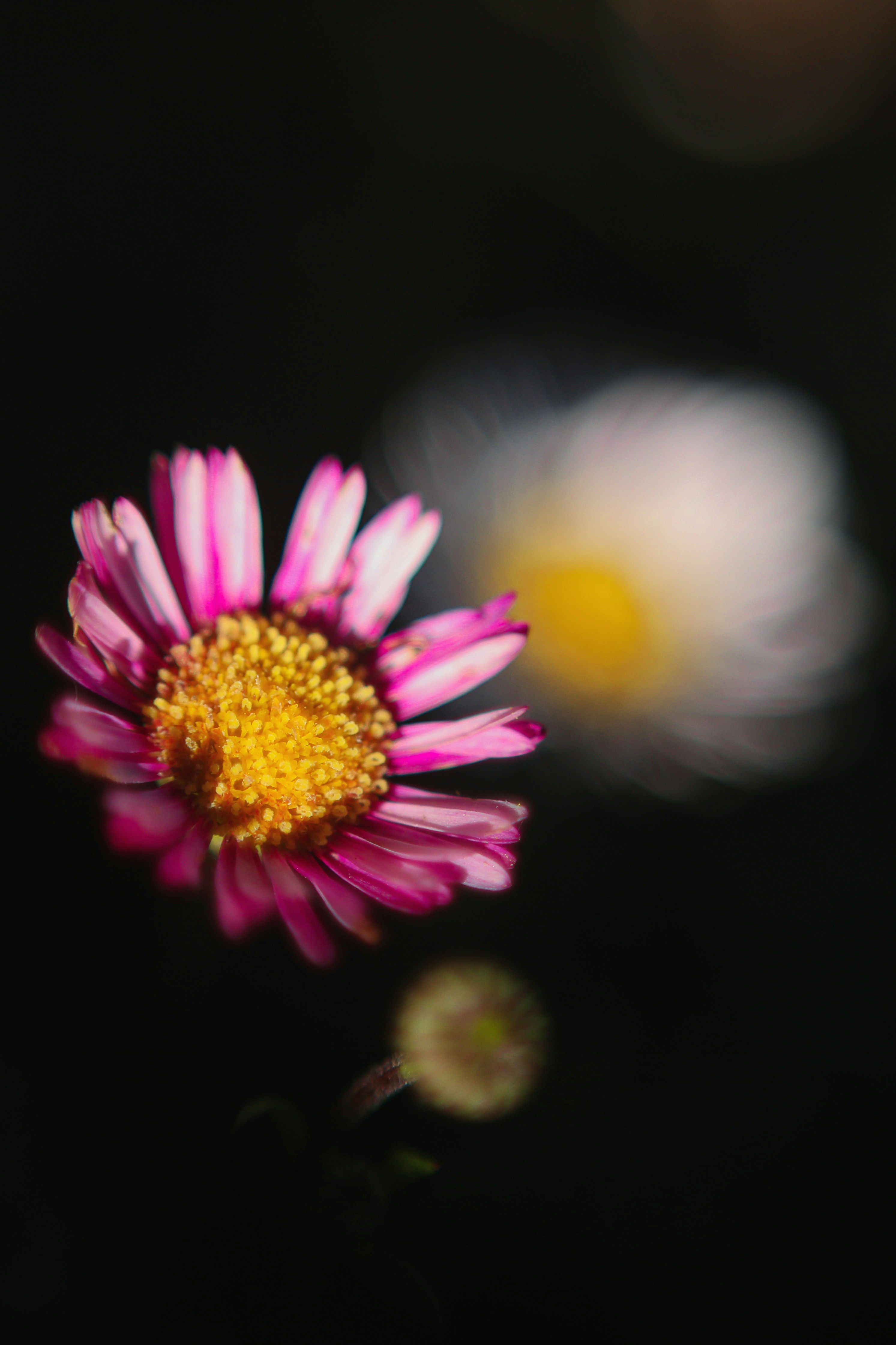 Photo by insidemyframe