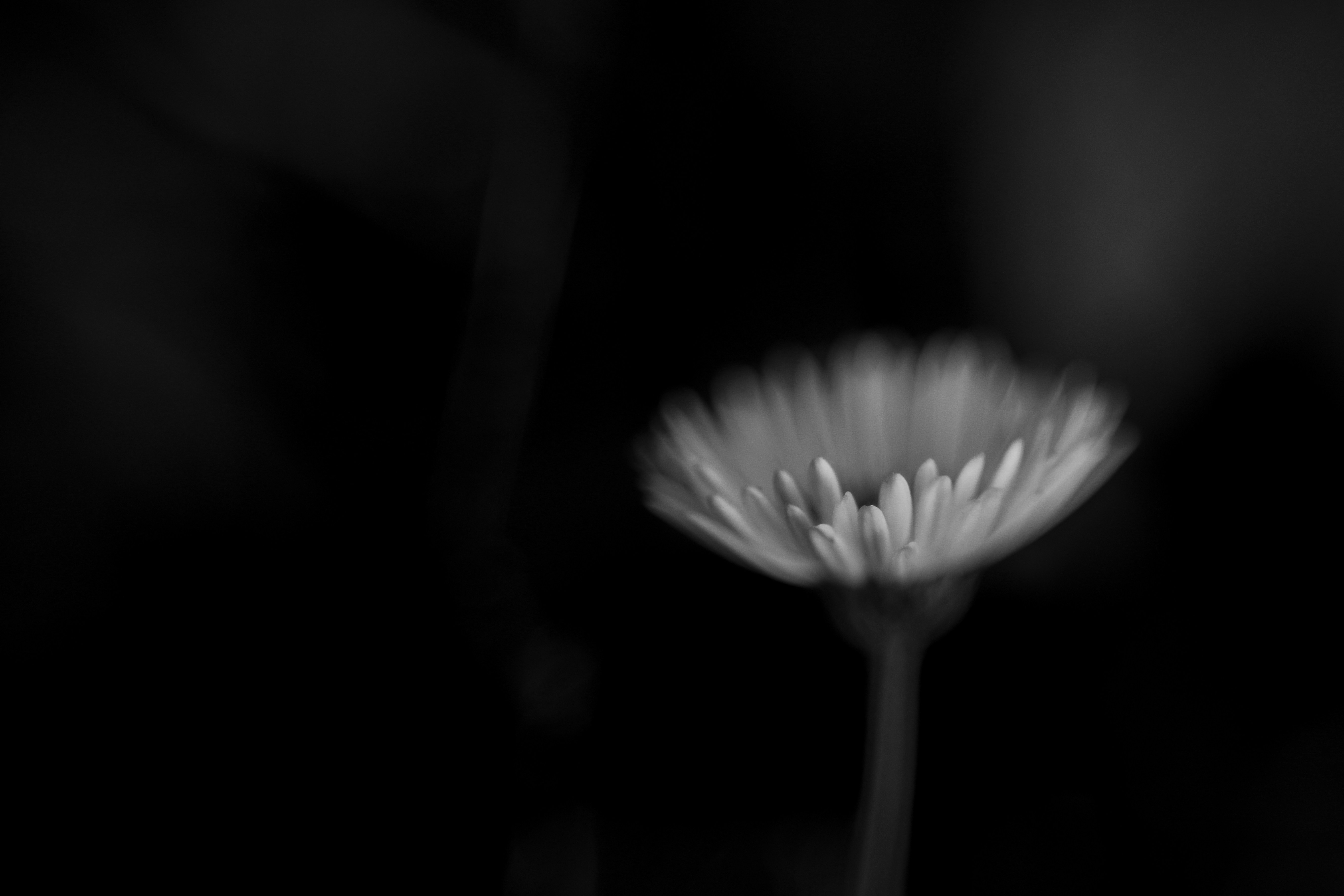 Photo by insidemyframe