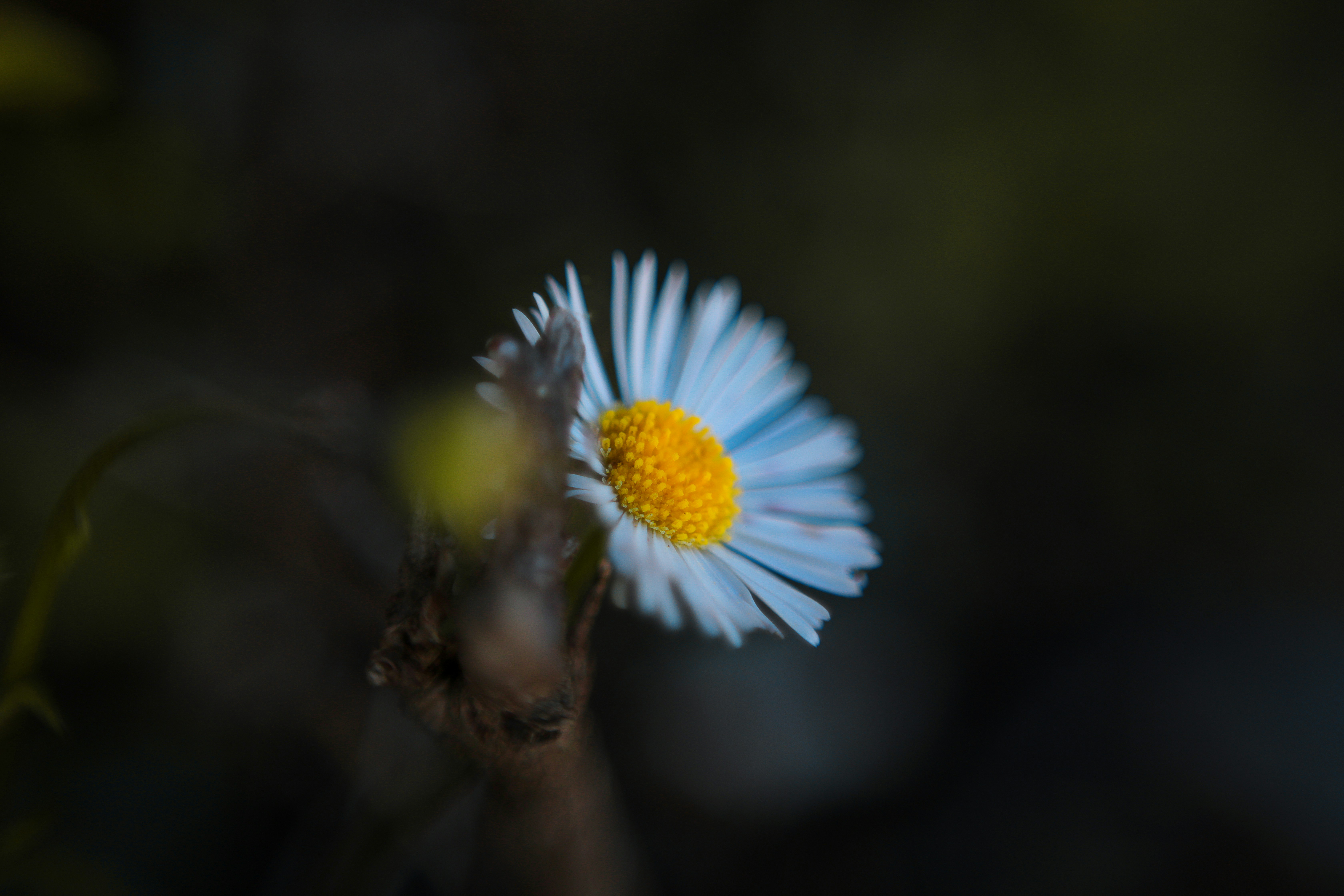 Photo by insidemyframe