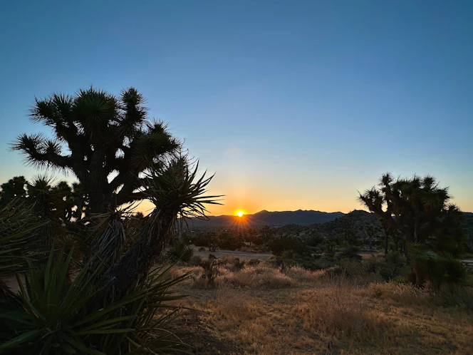 the sun is setting over a desert landscape