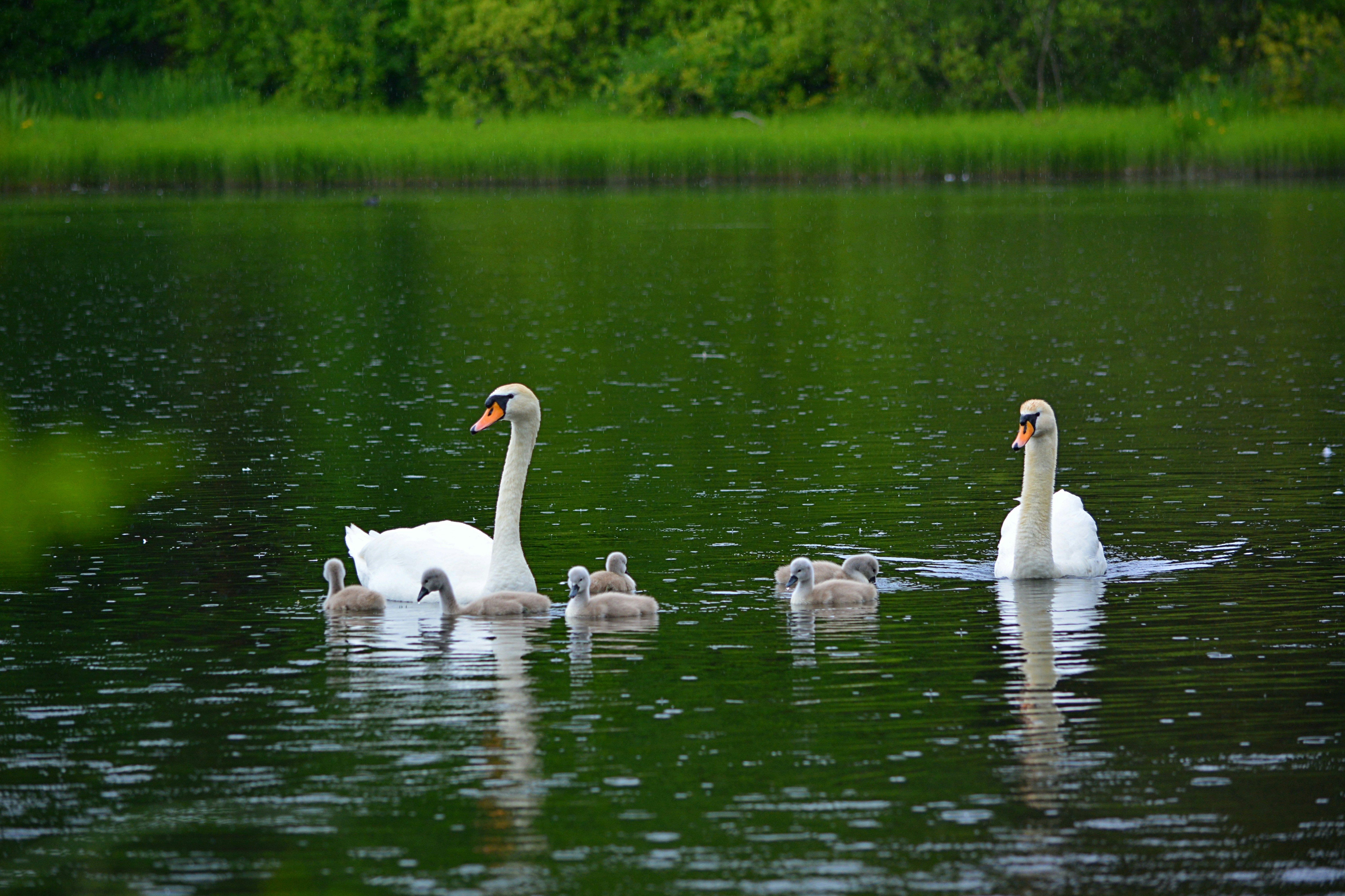 Photo by alphaperspective