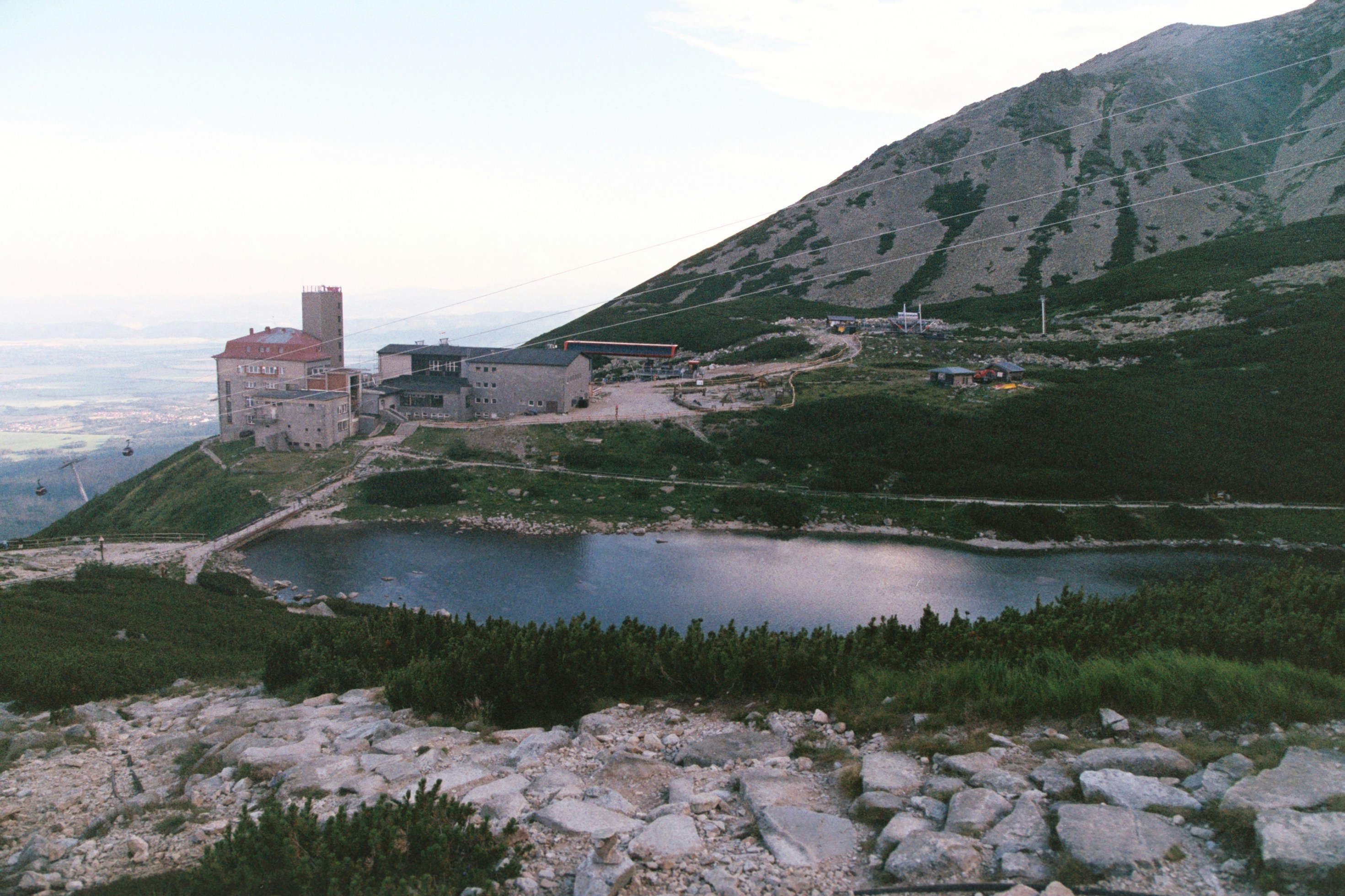 Photo by mcmortygreen