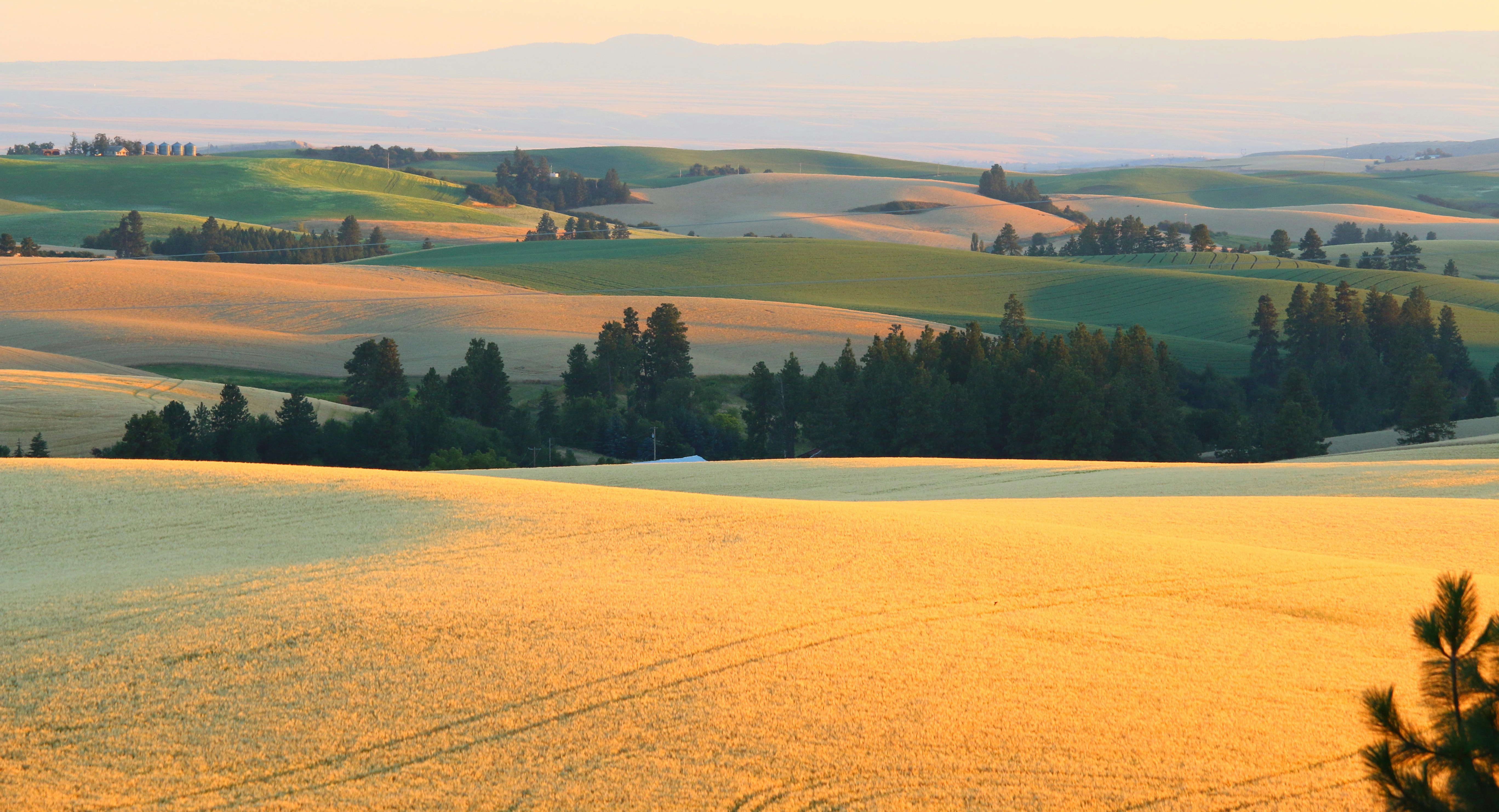 Bullock Hills, Western Australia
