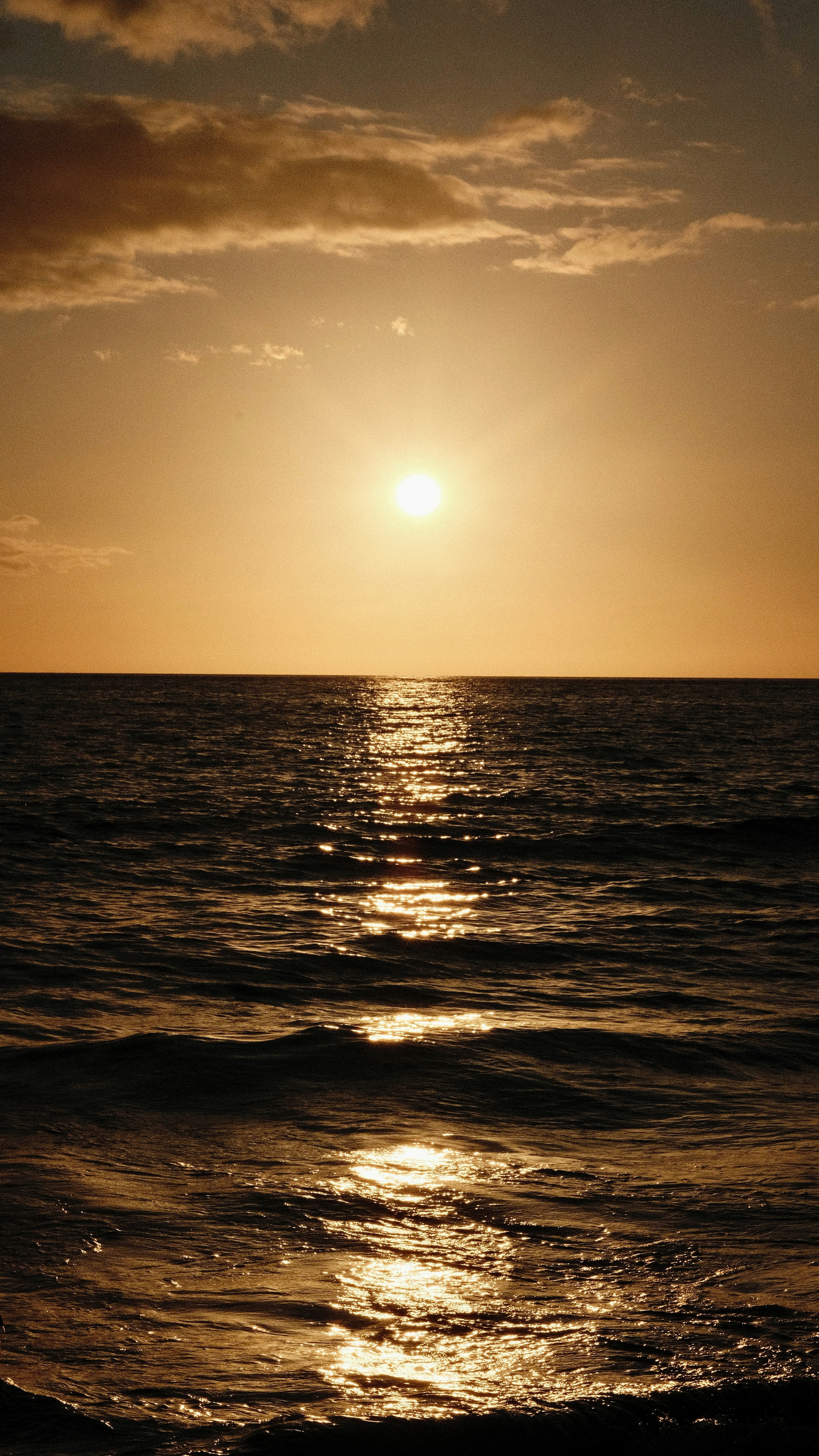 Photo by maxmeadowcroft