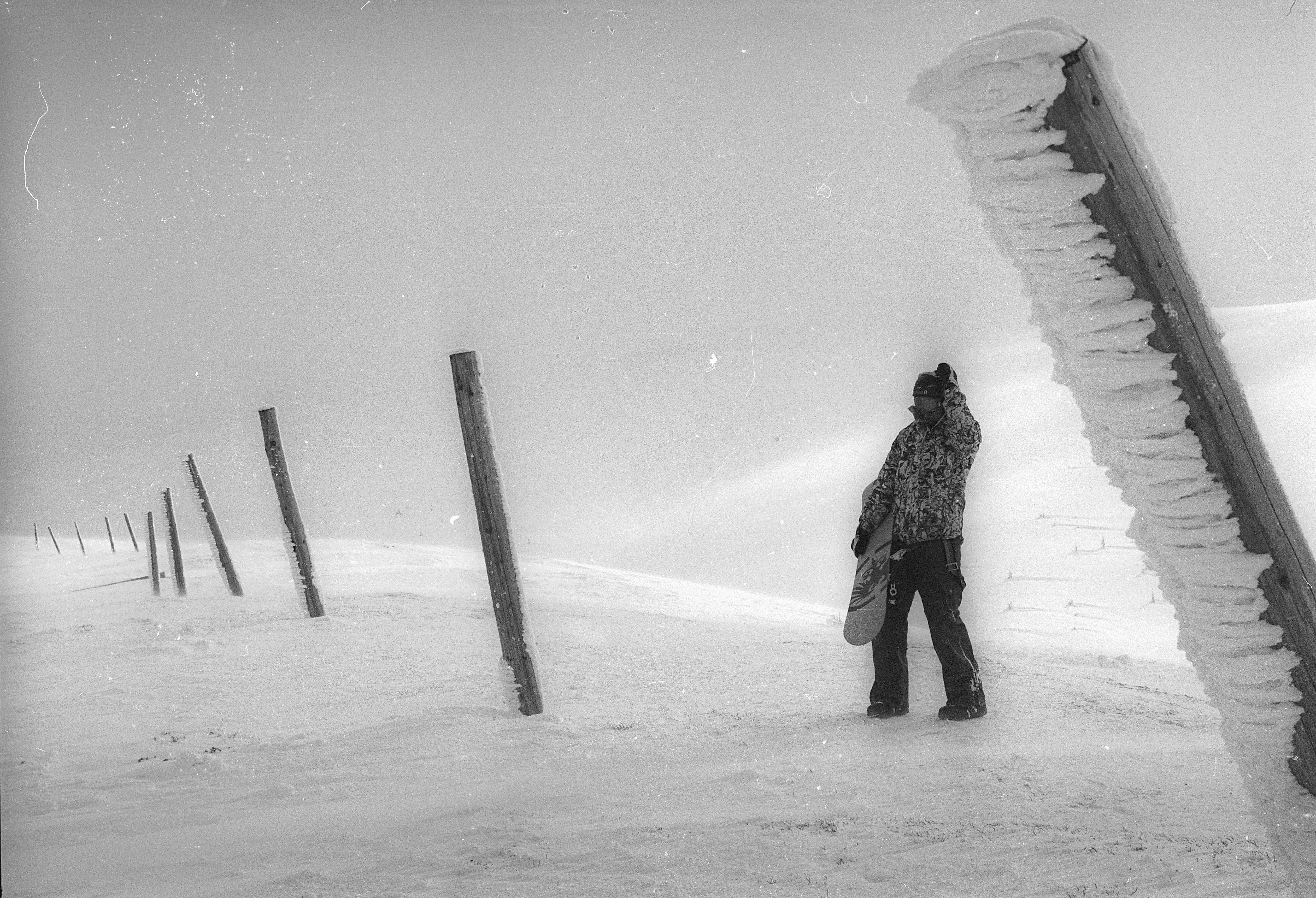 Photo by mcmortygreen