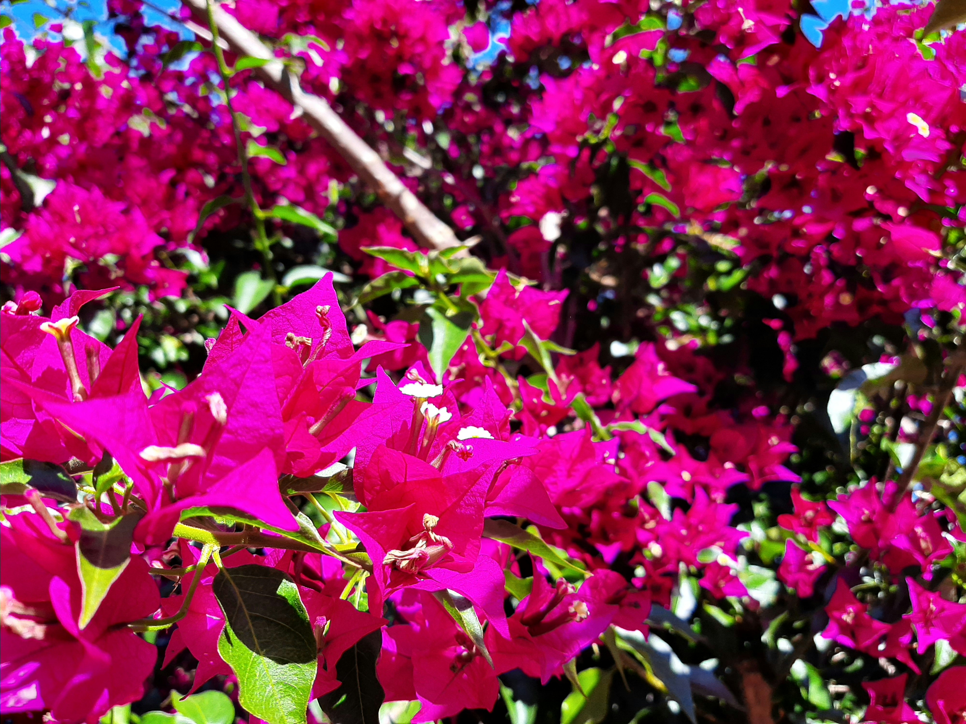 Photo by erick_martins