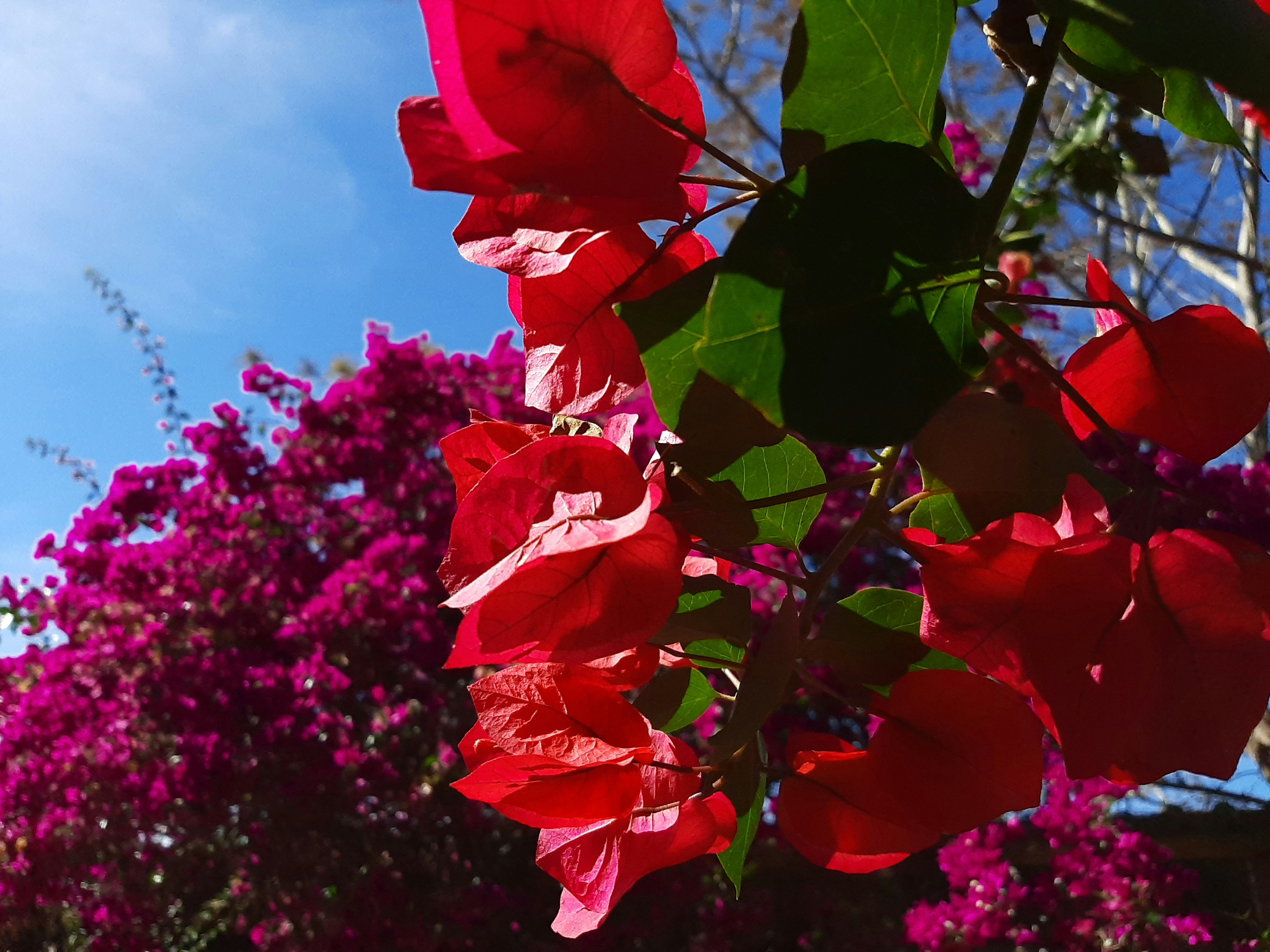 Photo by erick_martins