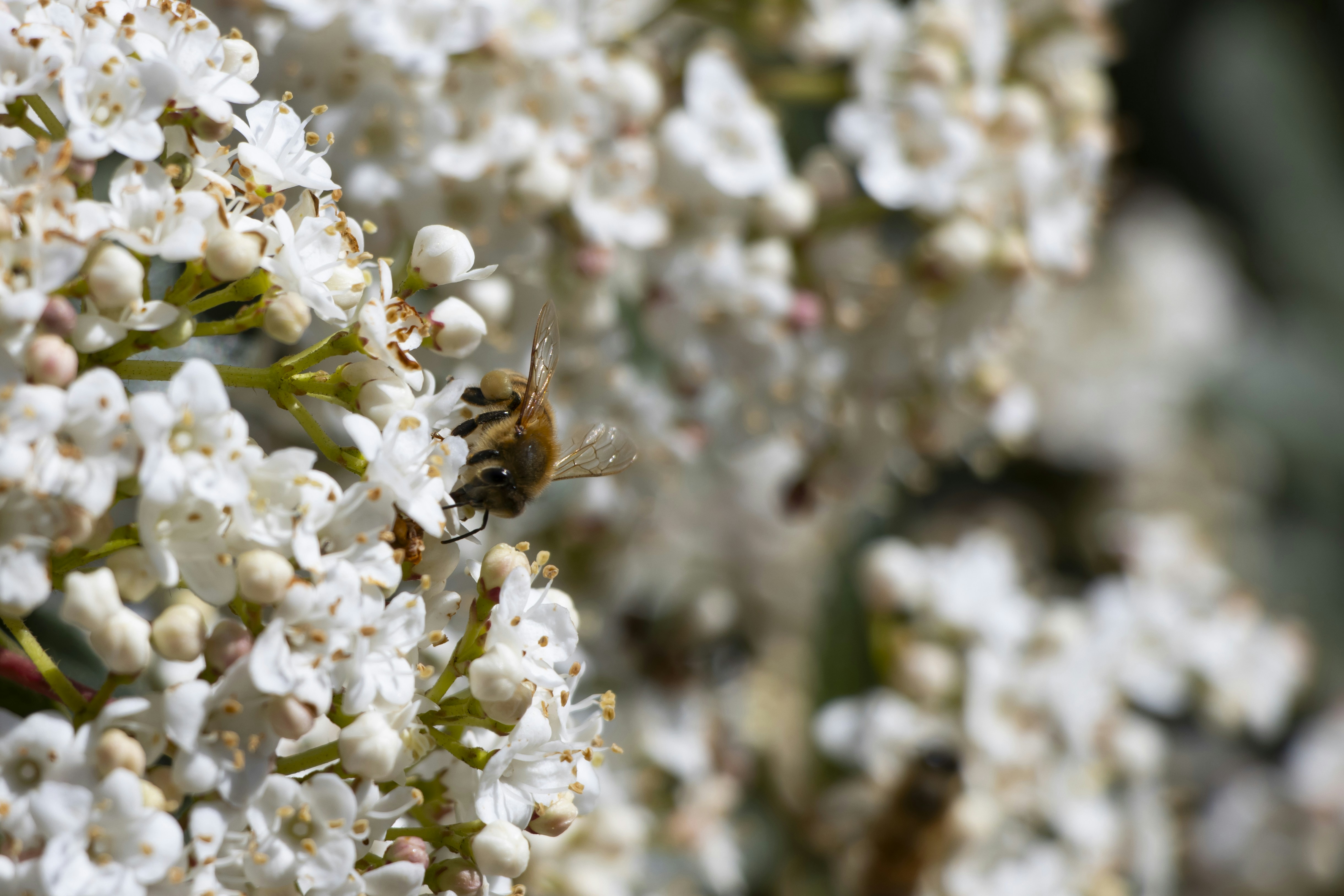 Photo by fonzhousefonzie