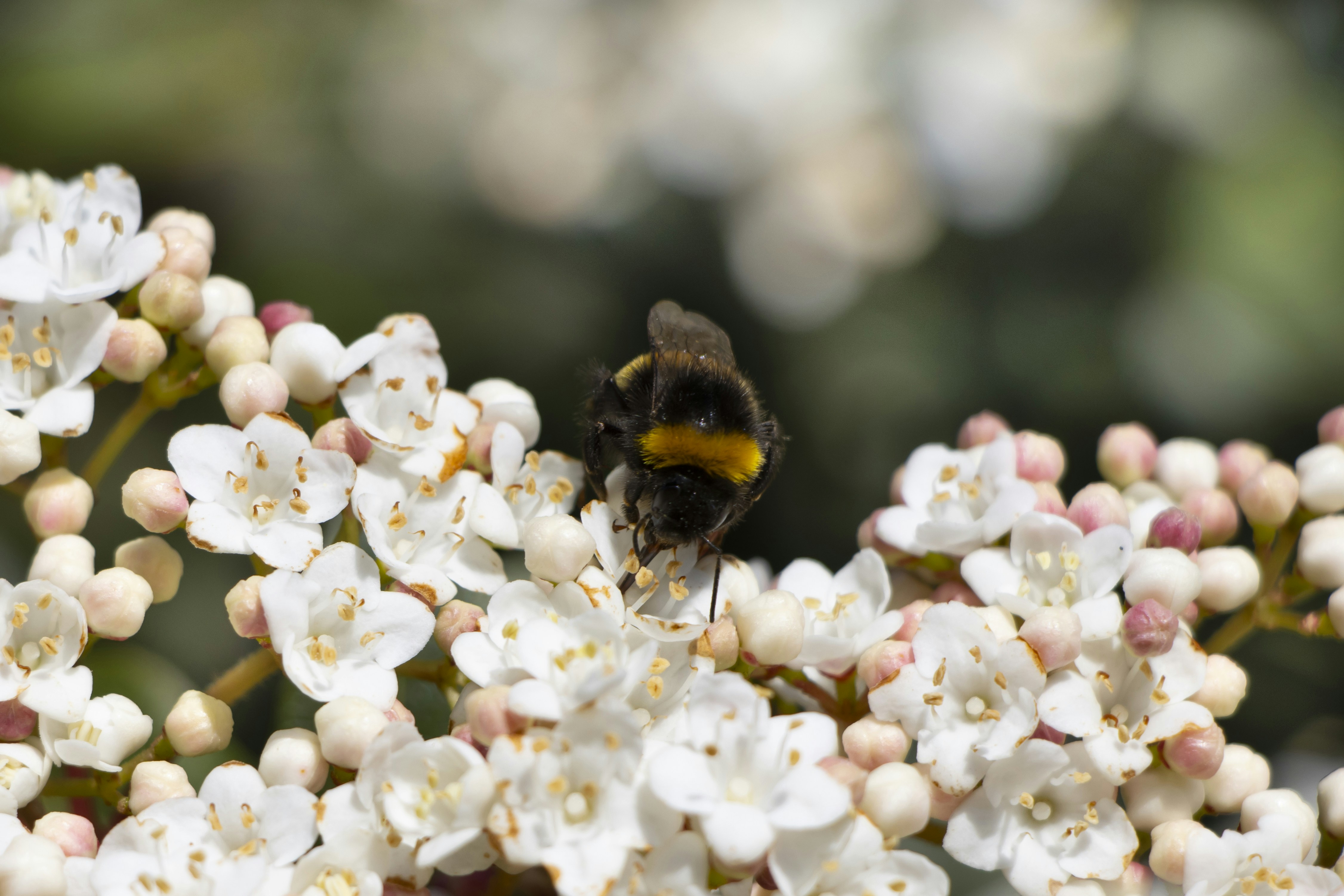 Photo by fonzhousefonzie