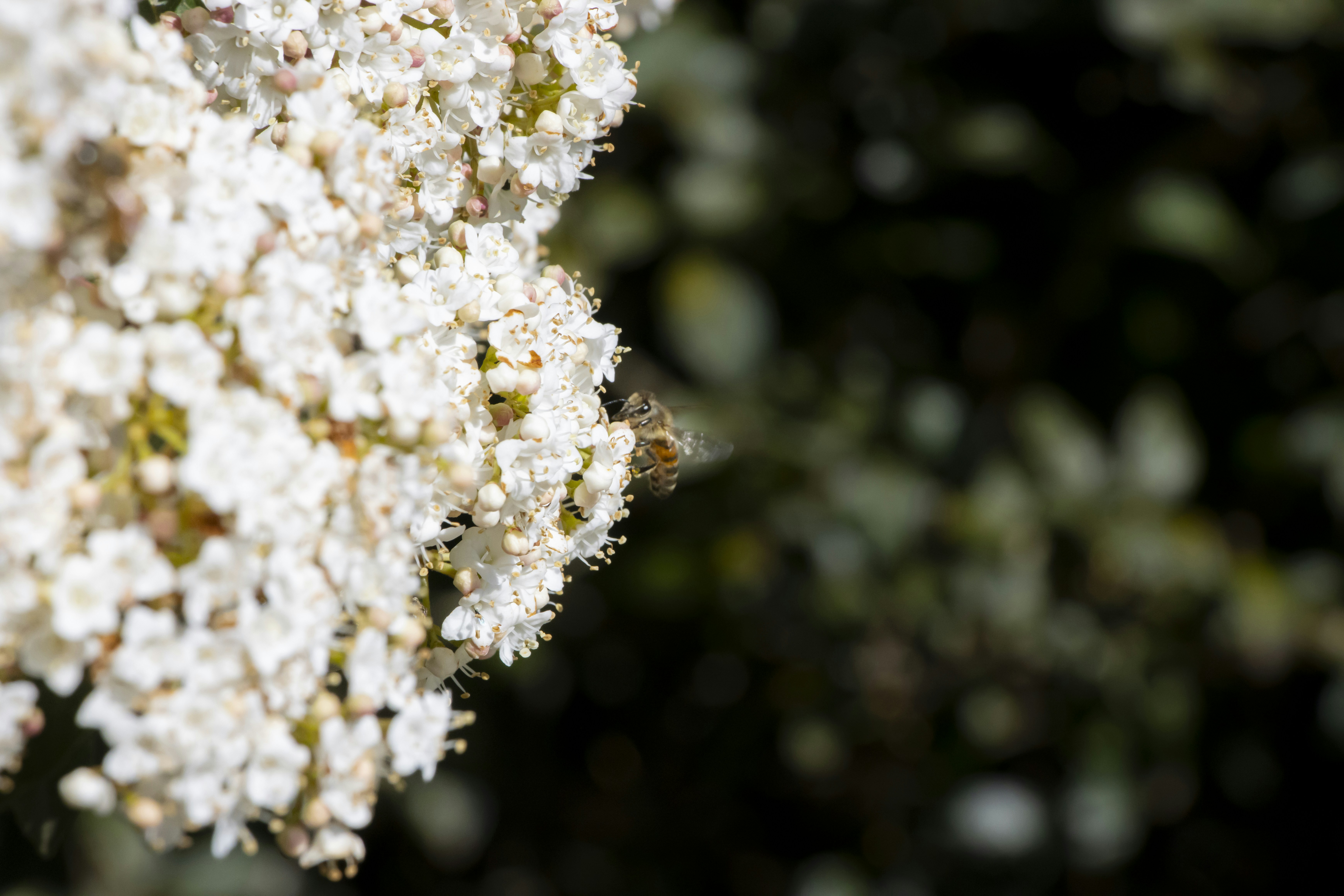 Photo by fonzhousefonzie