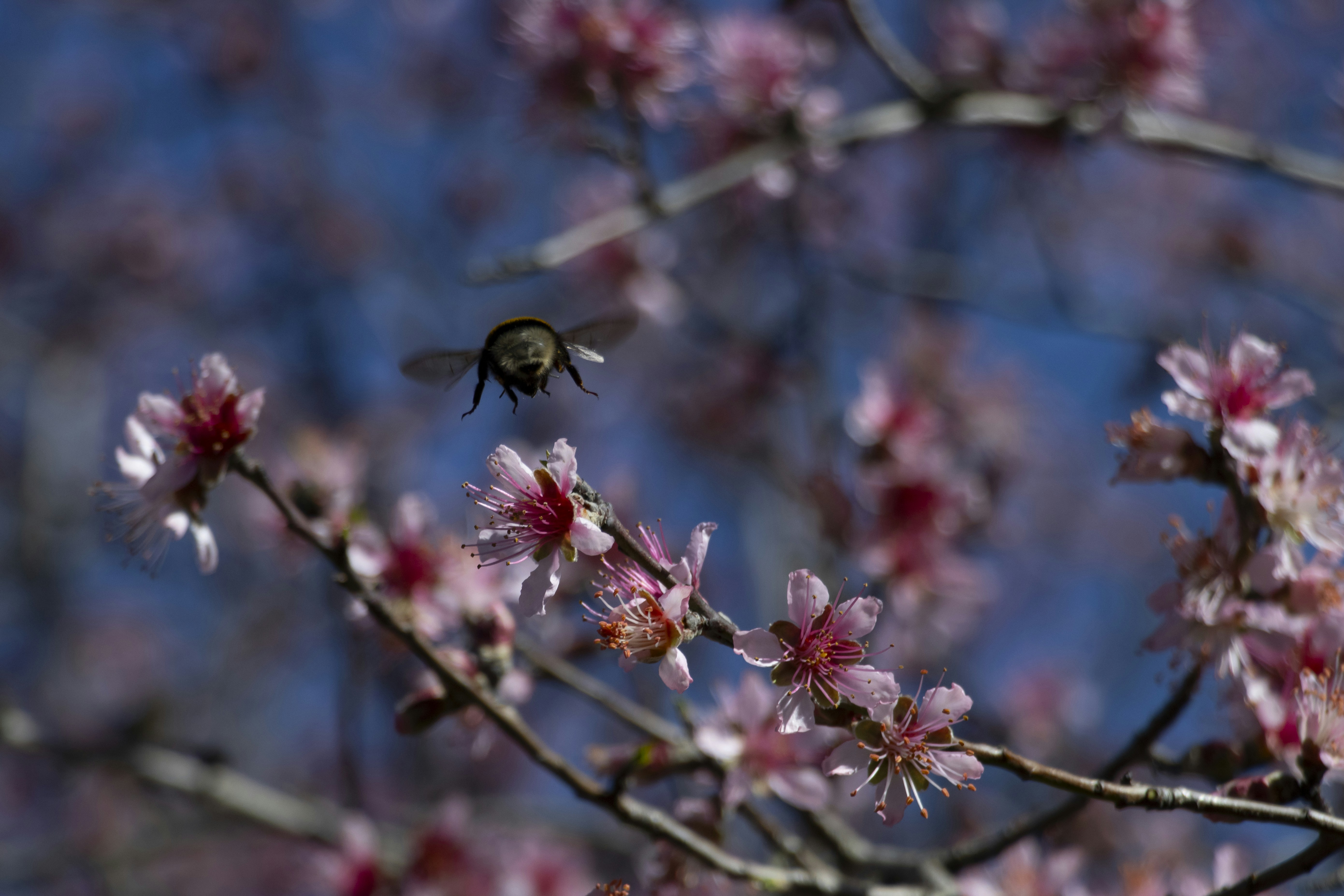 Photo by fonzhousefonzie