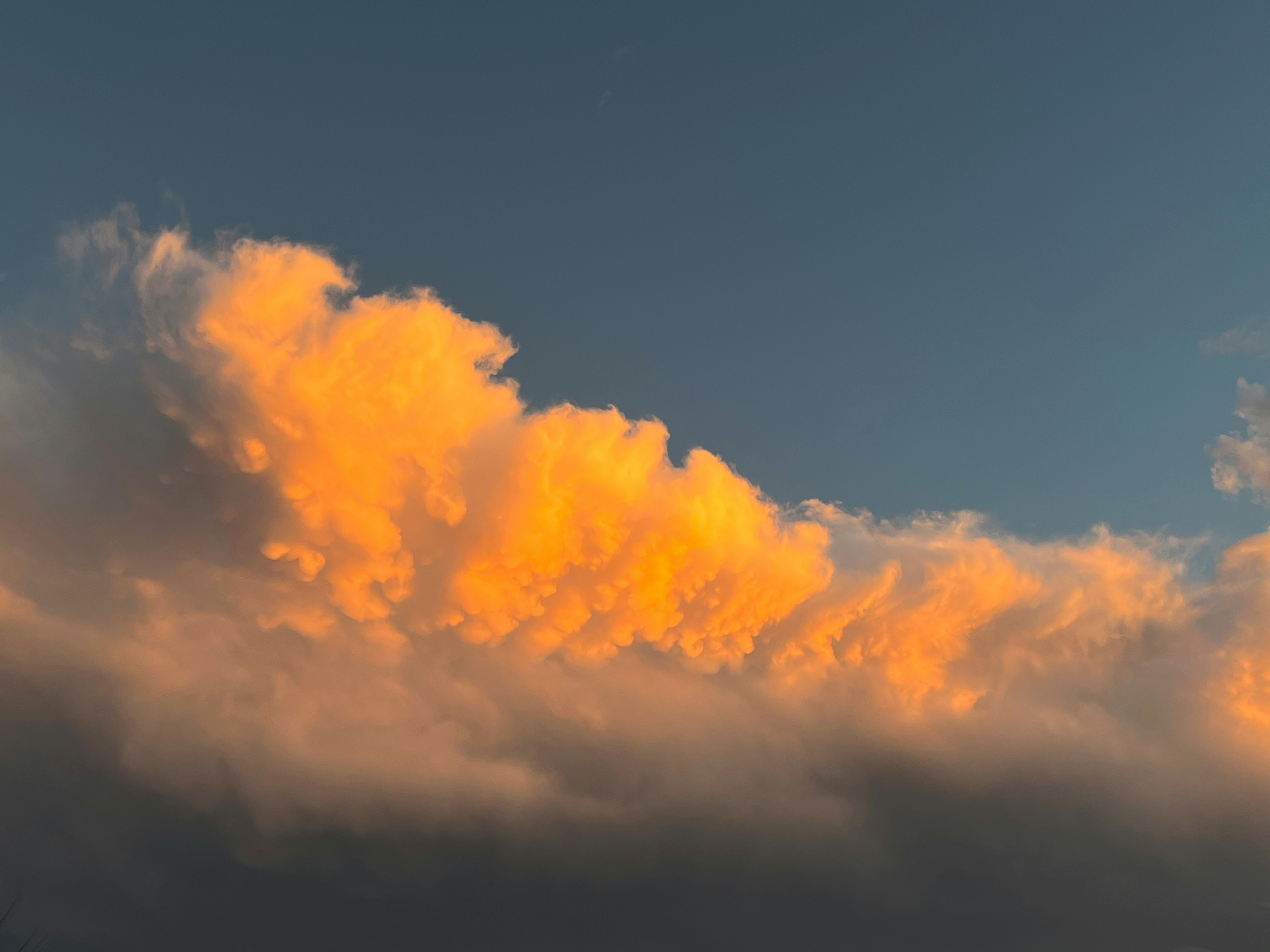 Photo by no_87_camera