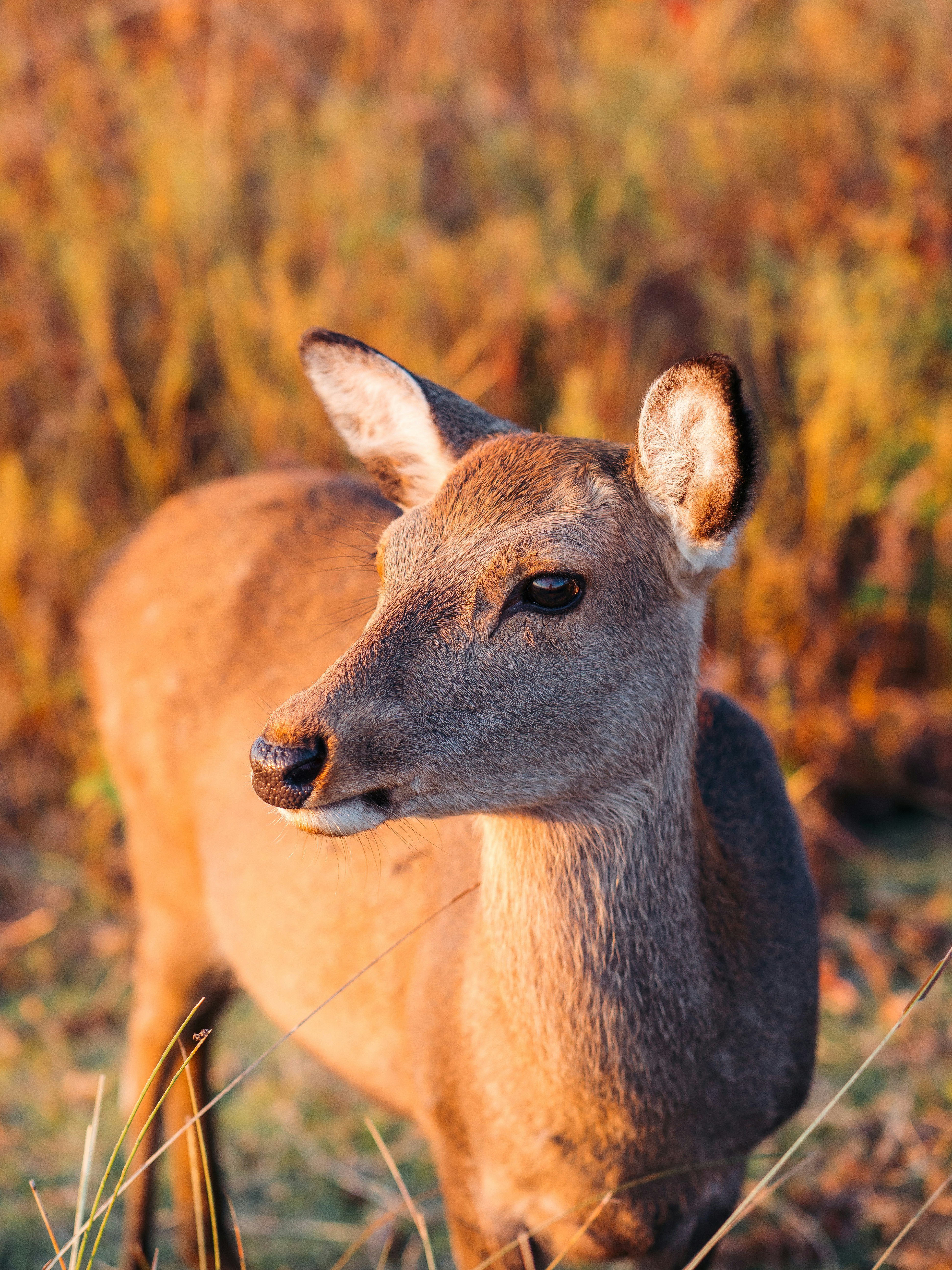 Photo by boomitskota