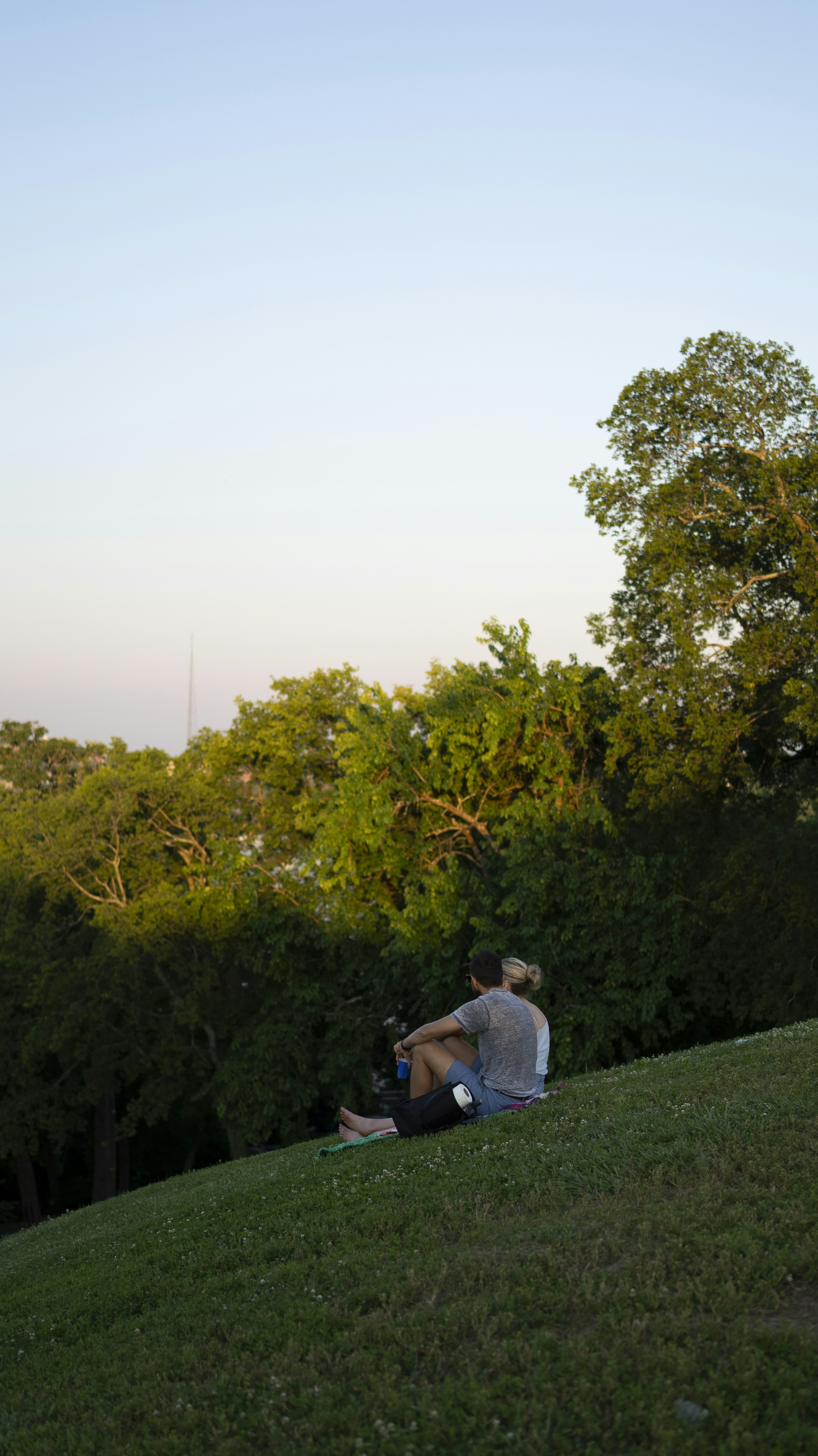 a man sitting on top of a lush green hillside