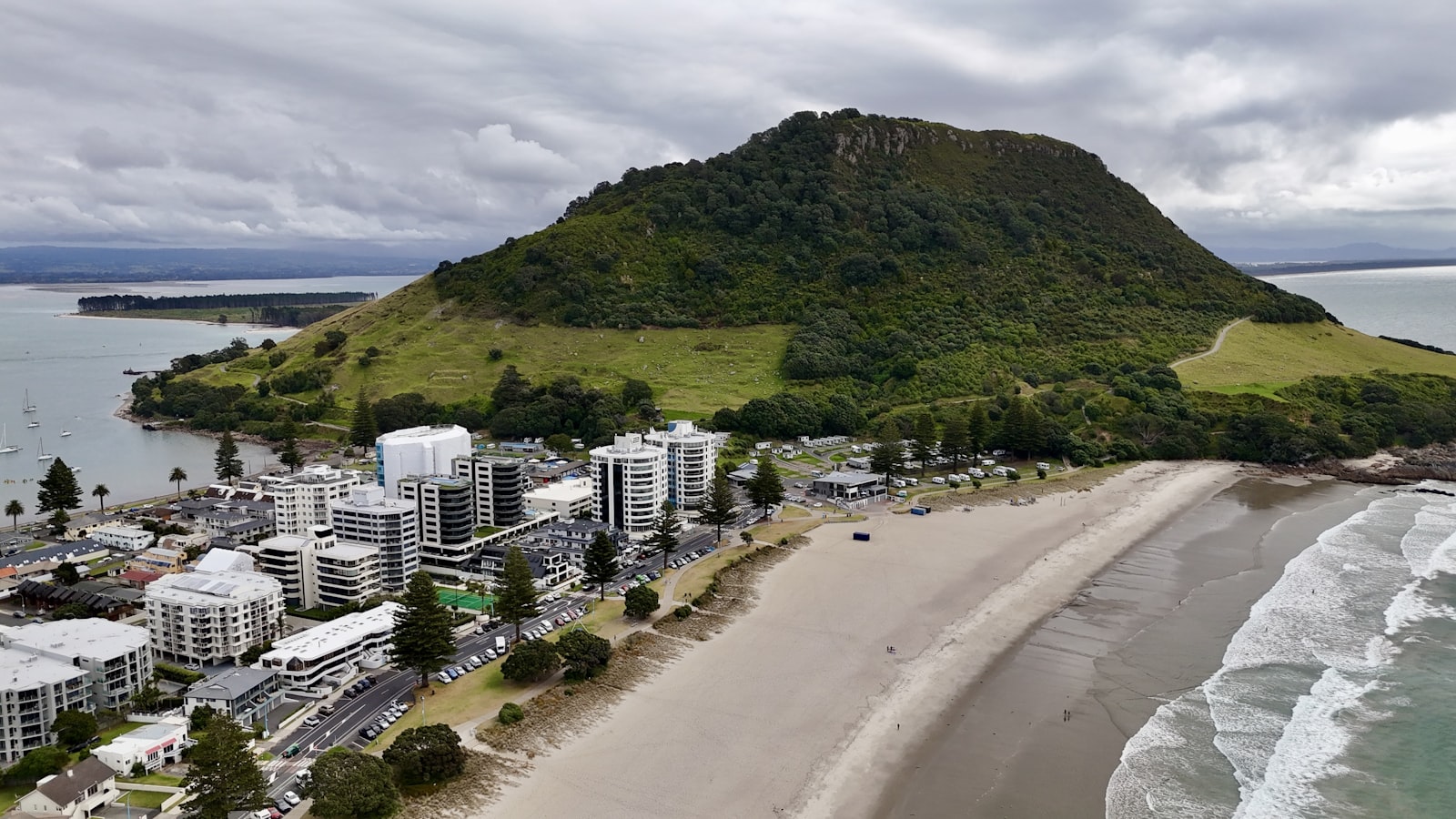Image for SEO Tauranga: How To Win Local Search Across Mt Maunganui And The Sub Markets on SEO Monkey
