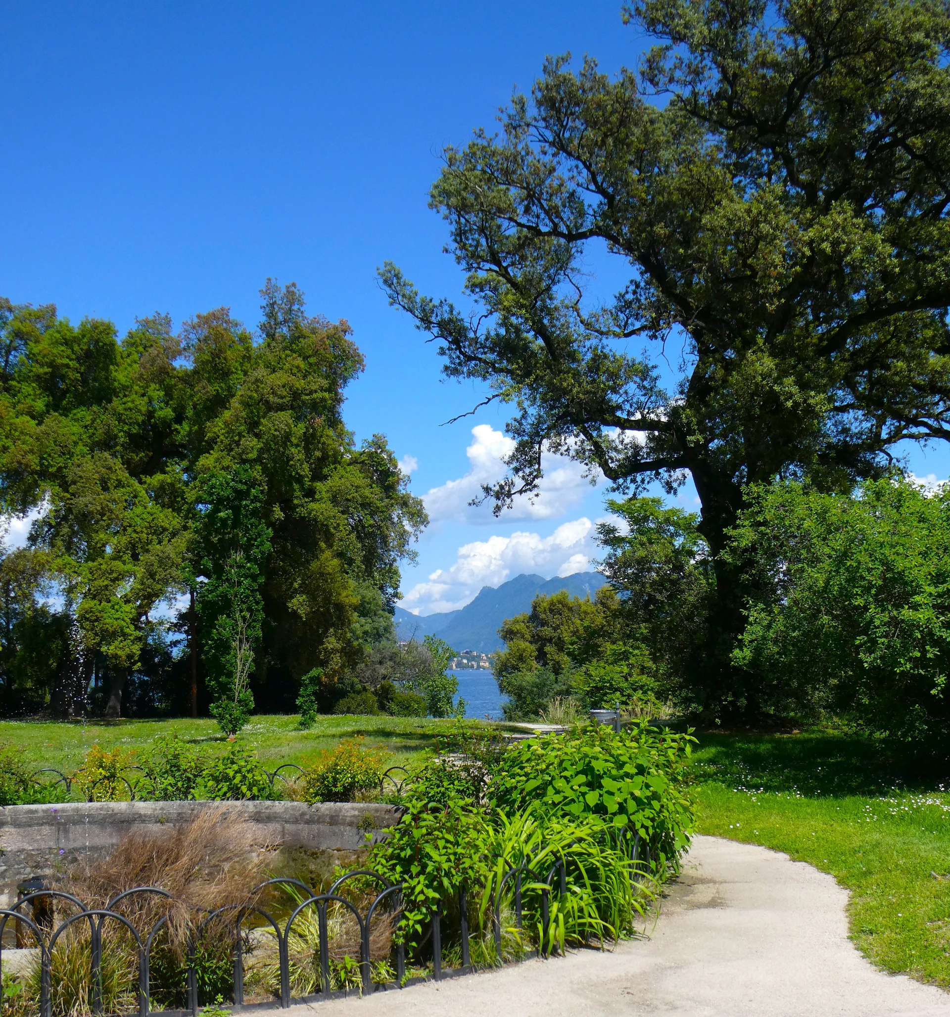 a path through a lush green park next to a lake