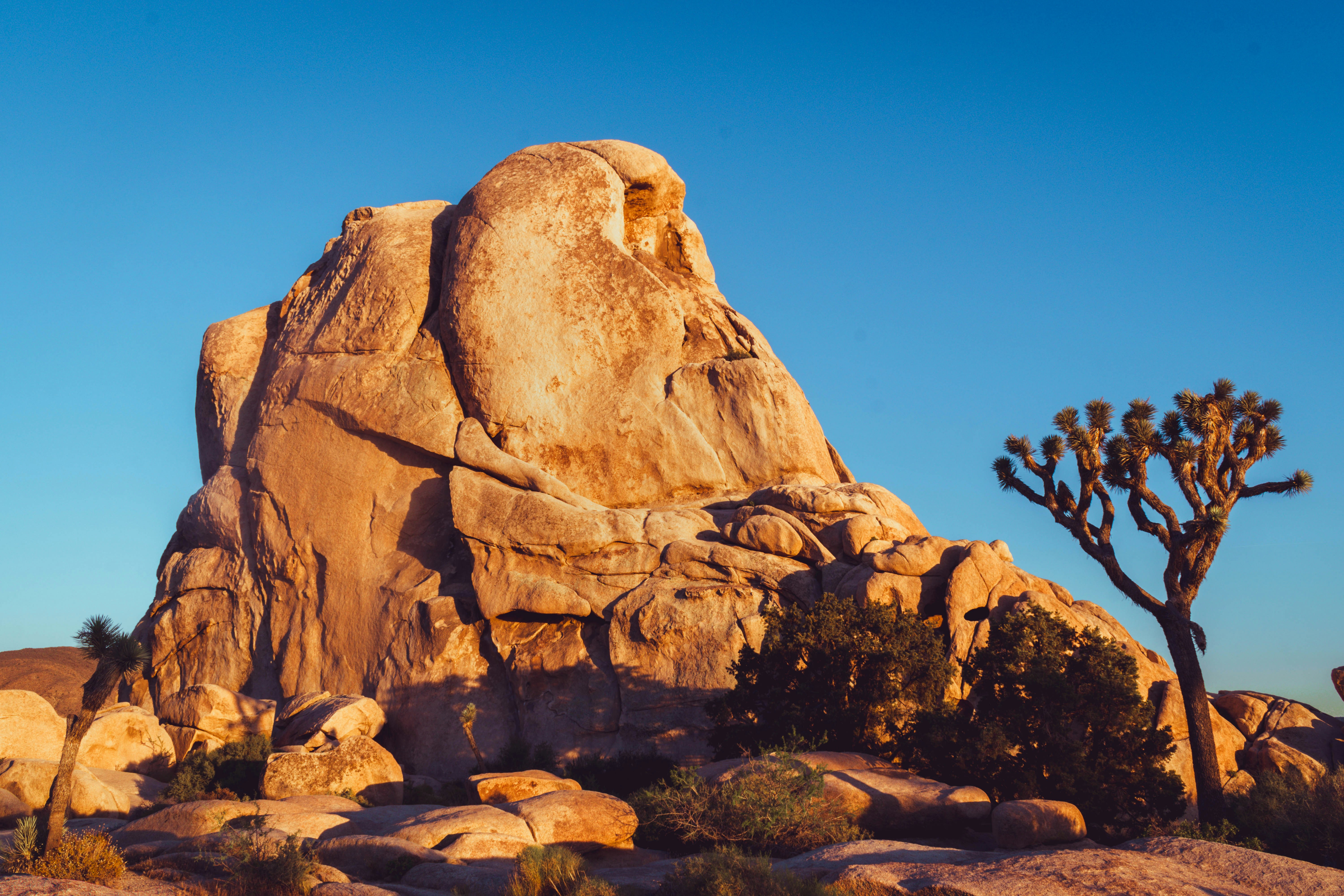 Photo by bespokewoodsman