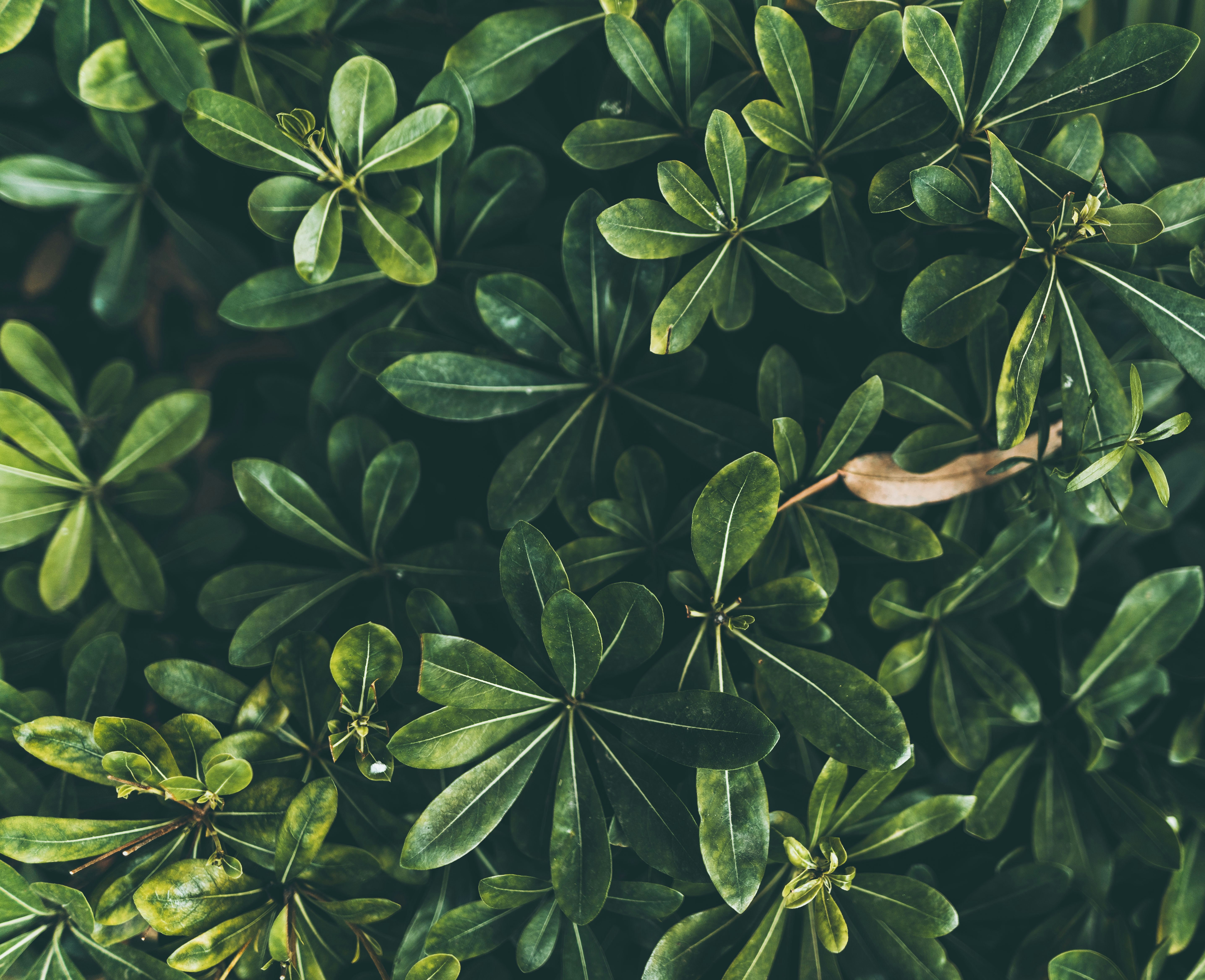 Photo by hybridpictures