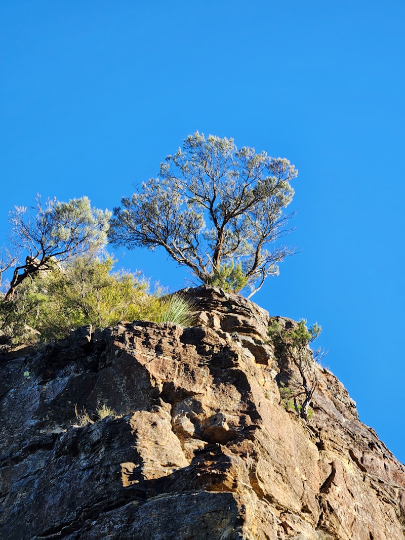Blue Mountains National Park
