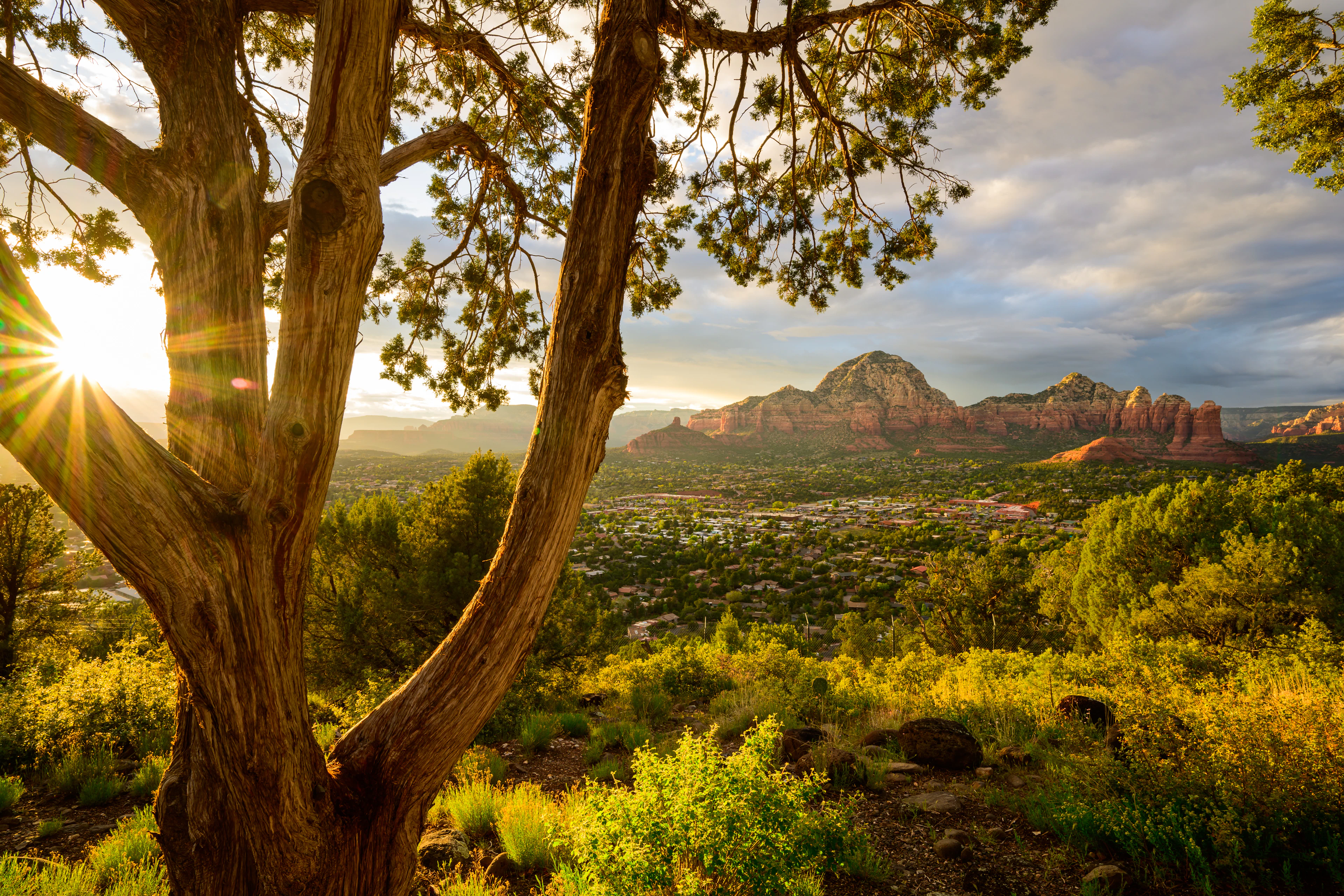 Sedona culture