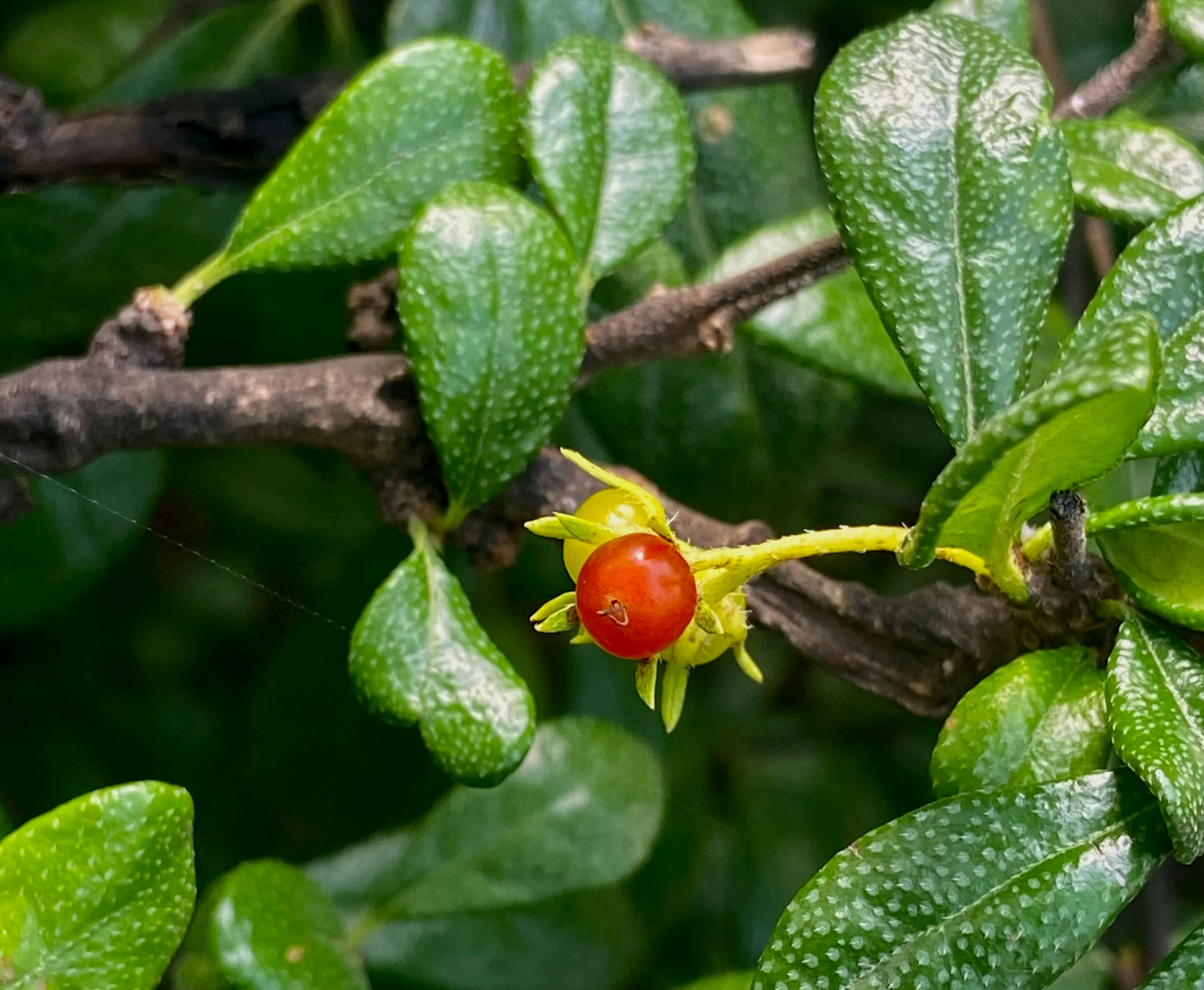 Photo by naresh_k_rathod