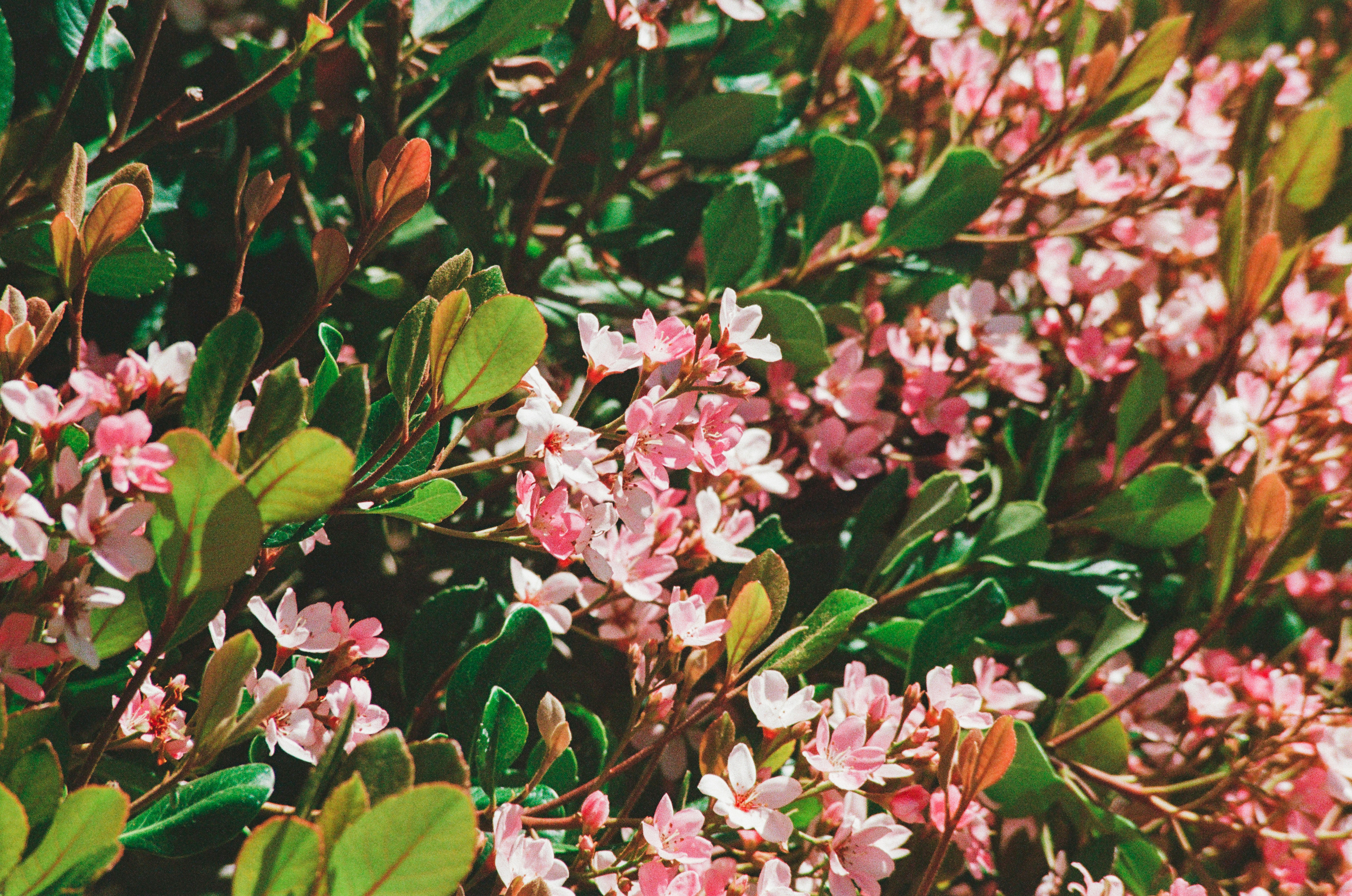 Photo by _nickwright_