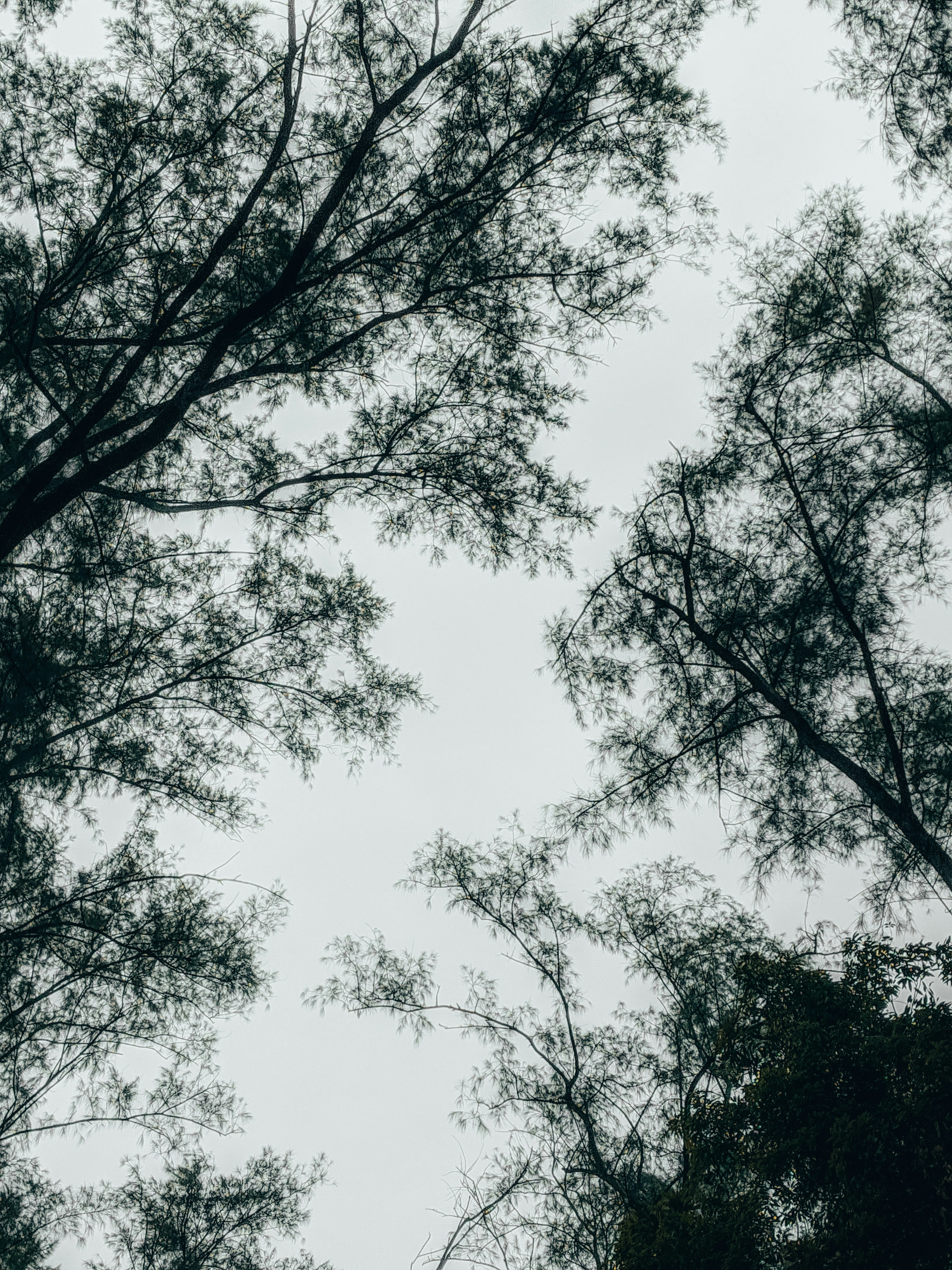 Photo by touhids_click