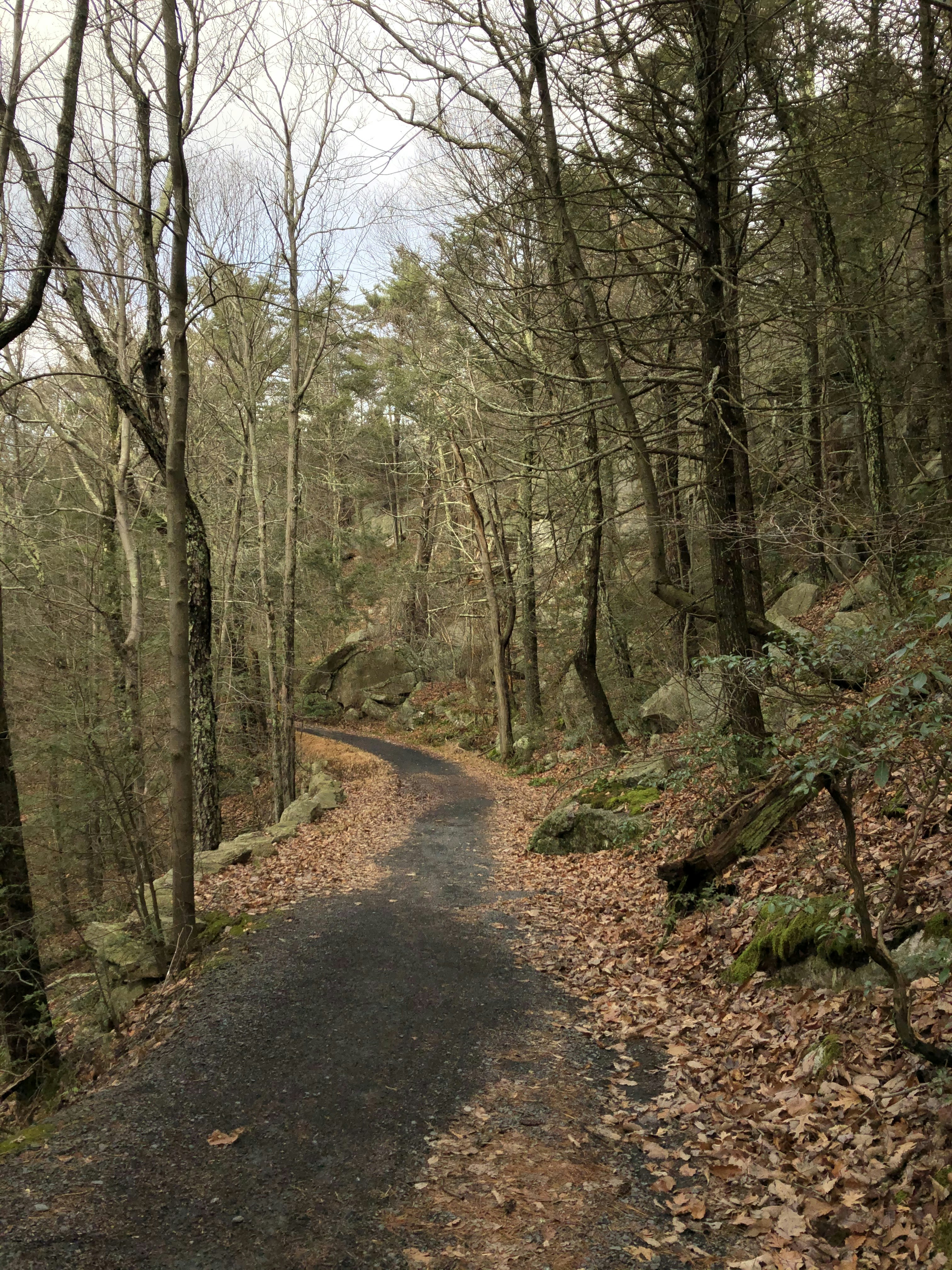 Photo by sethanikeem