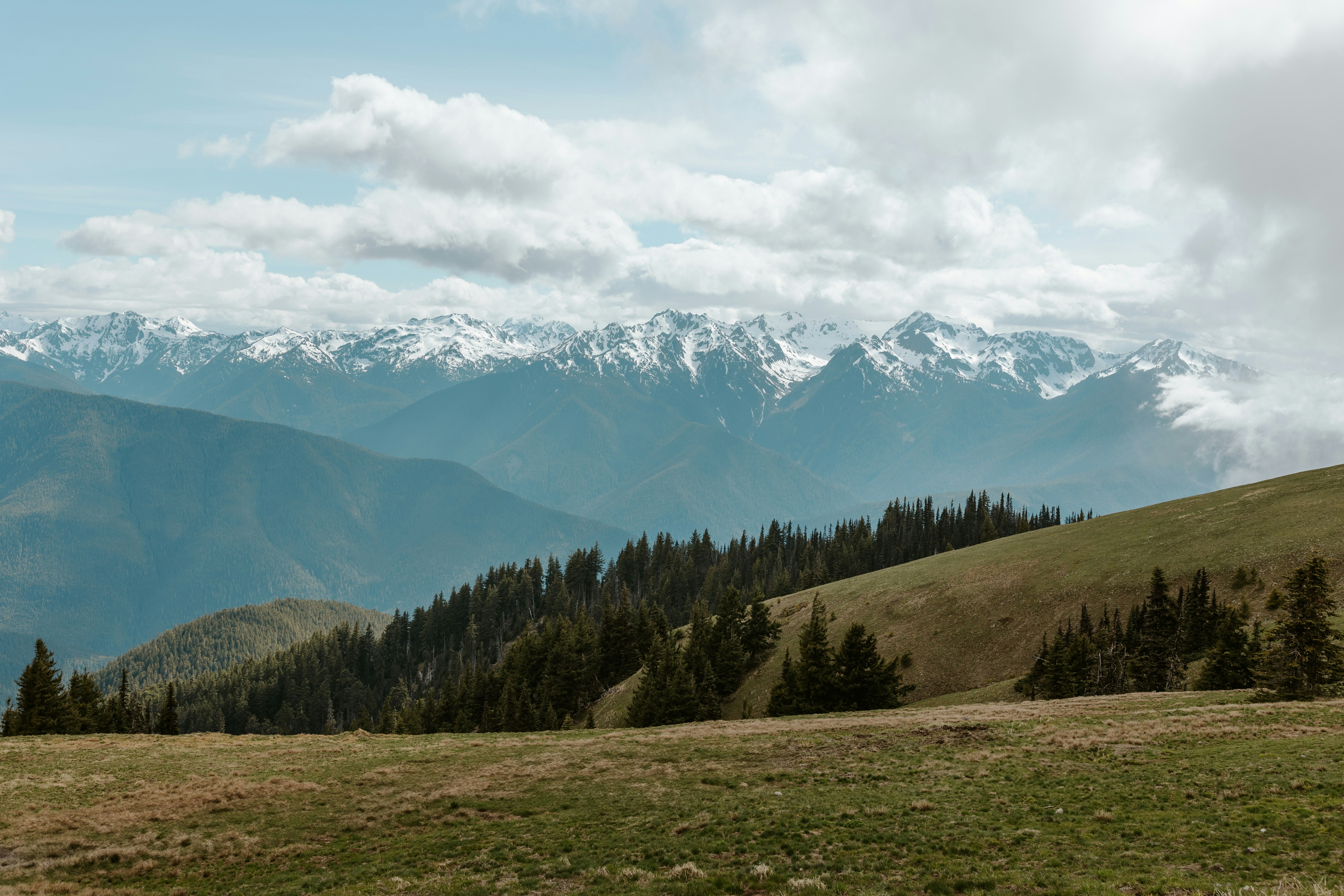 Photo by briannaparksphotography