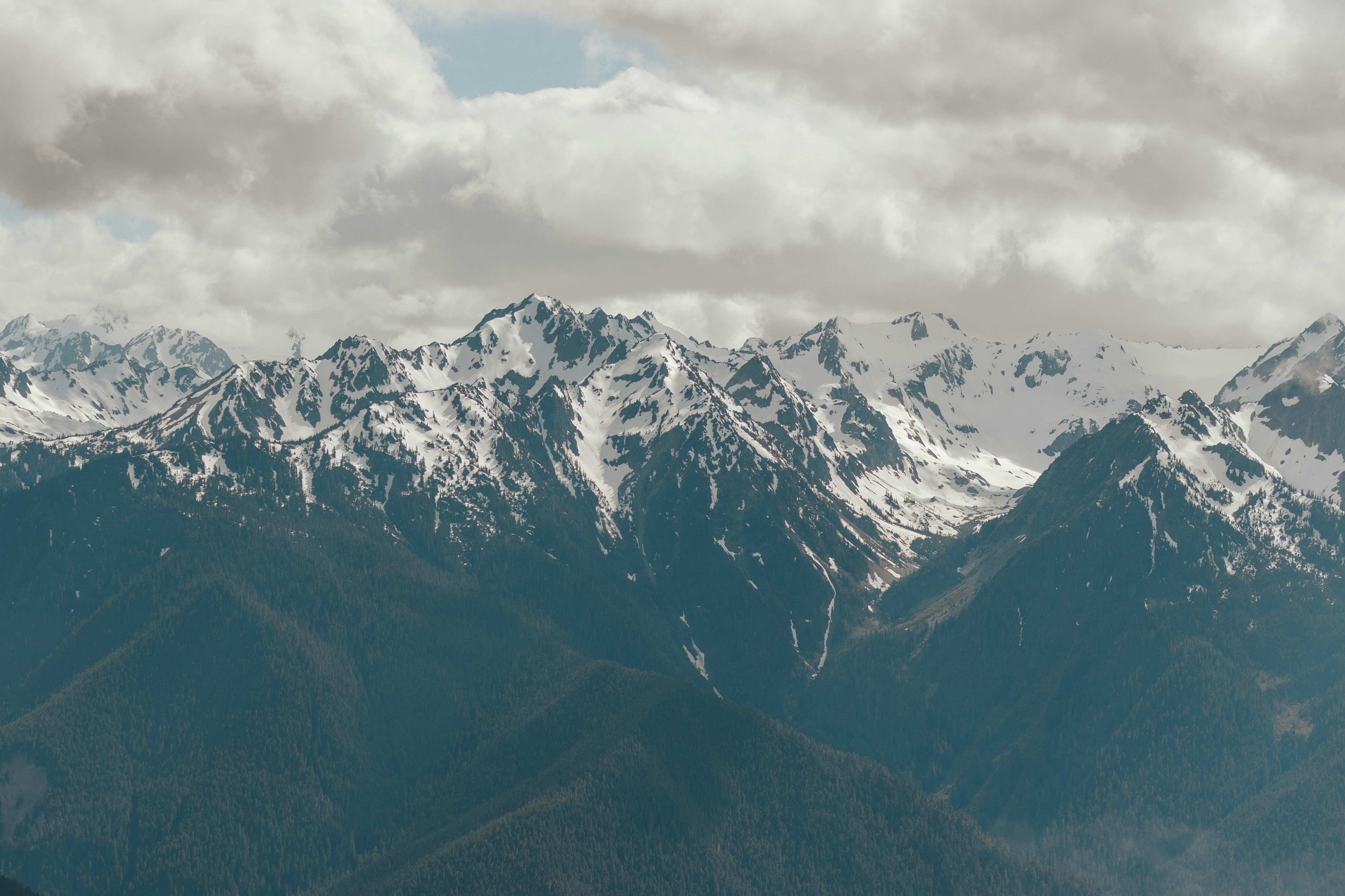 Photo by briannaparksphotography