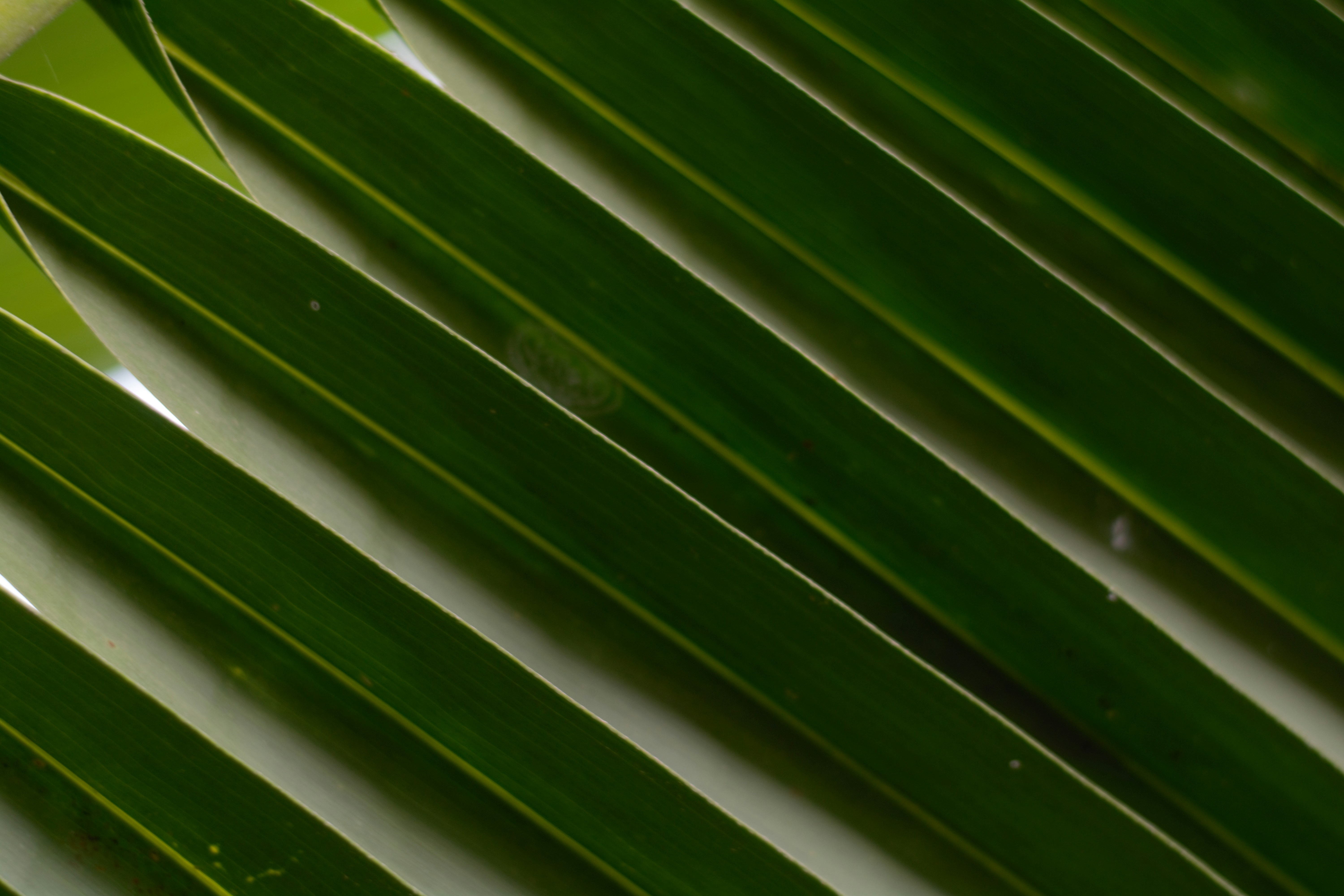 Photo by maiami24569