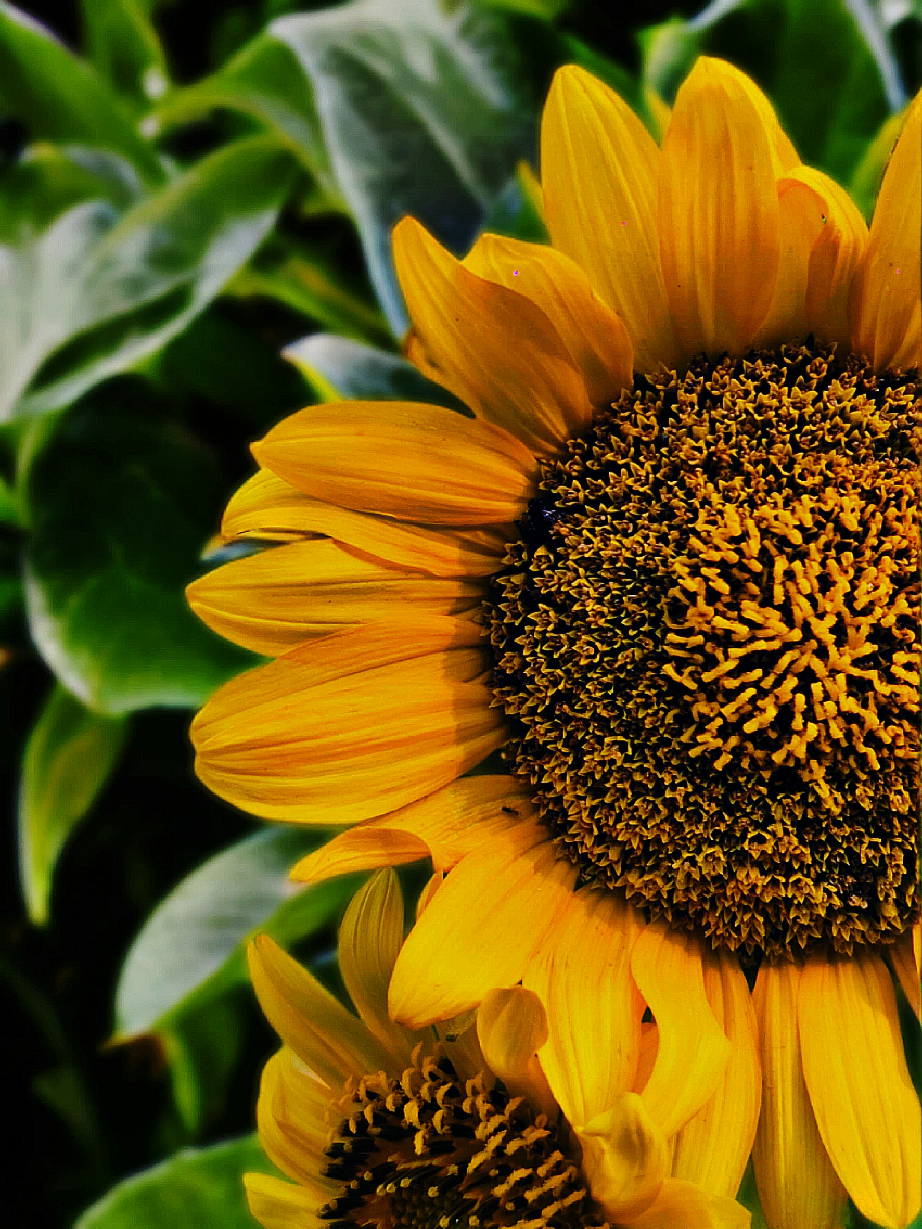 Photo by ommpattanaik