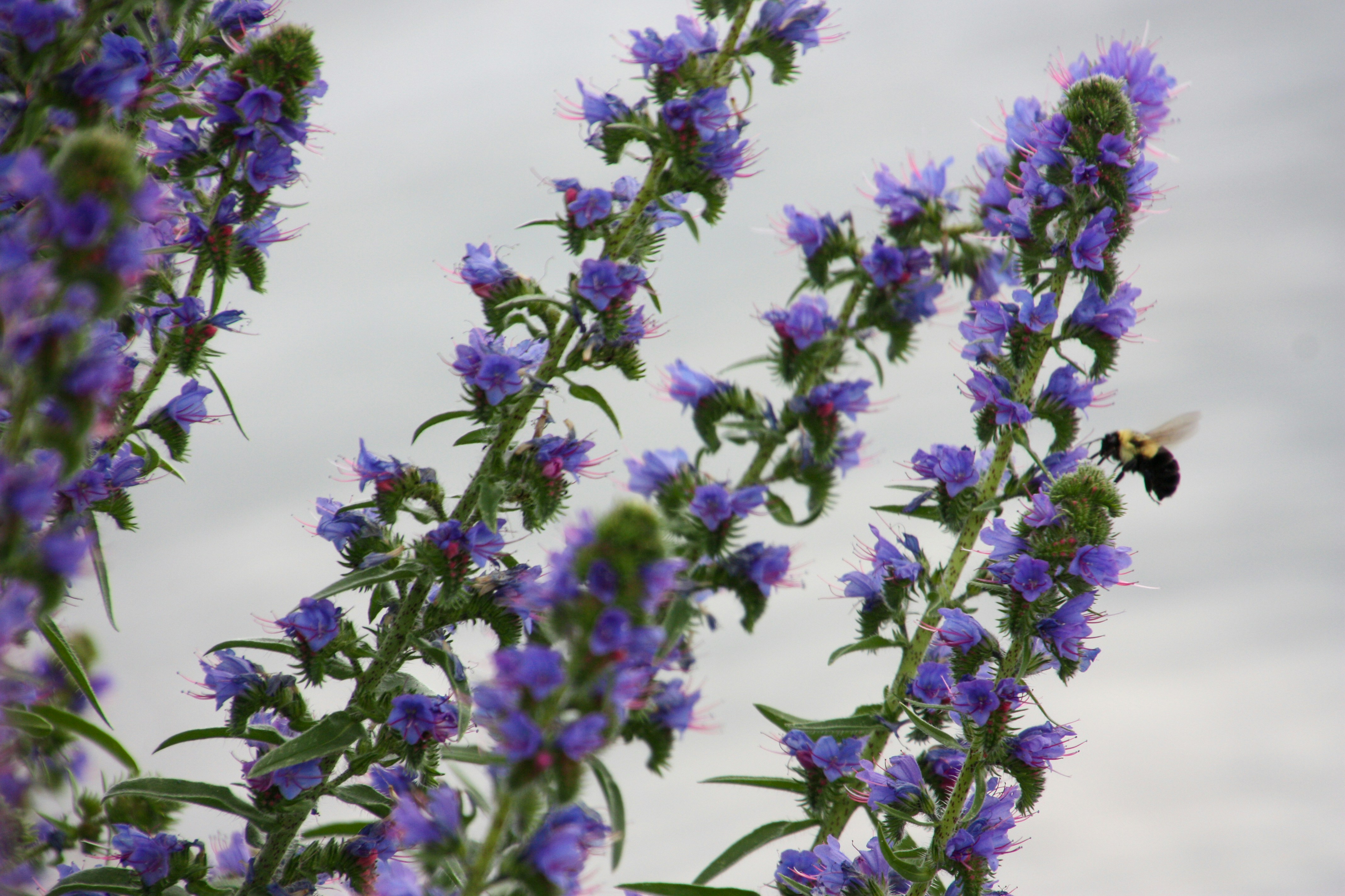 Photo by anthonyaird