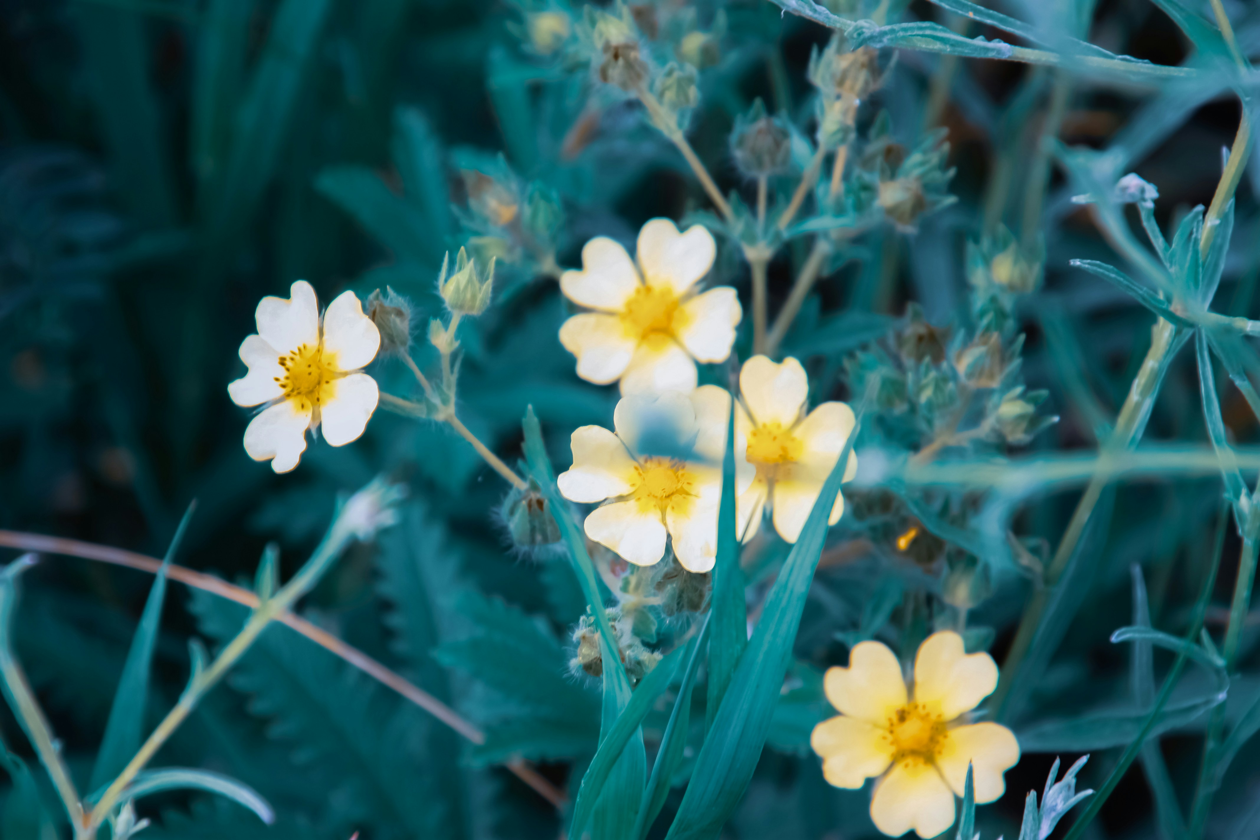 Photo by anthonyaird