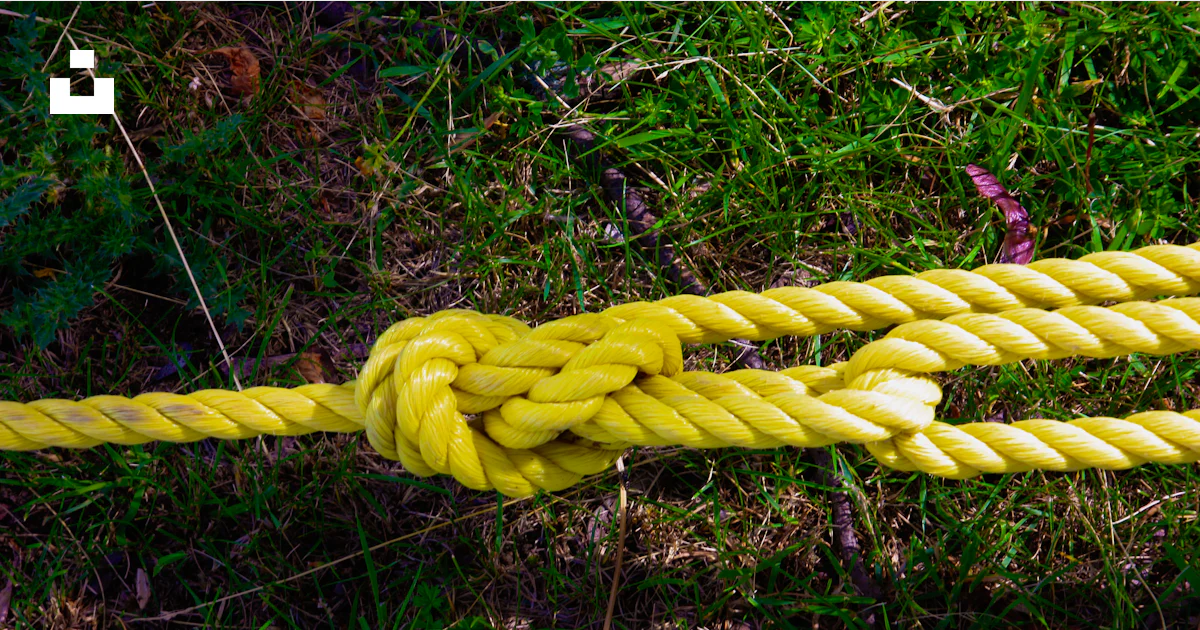 A close up of a yellow rope on the ground photo – Free Plant Image on ...