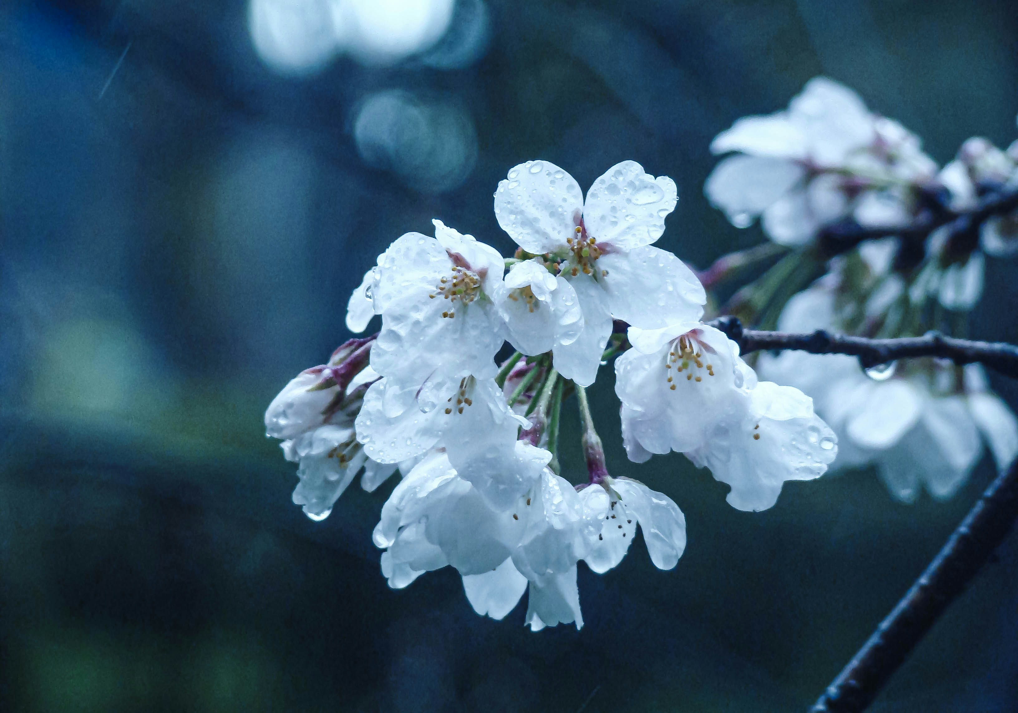 Photo by maro_of_sengu