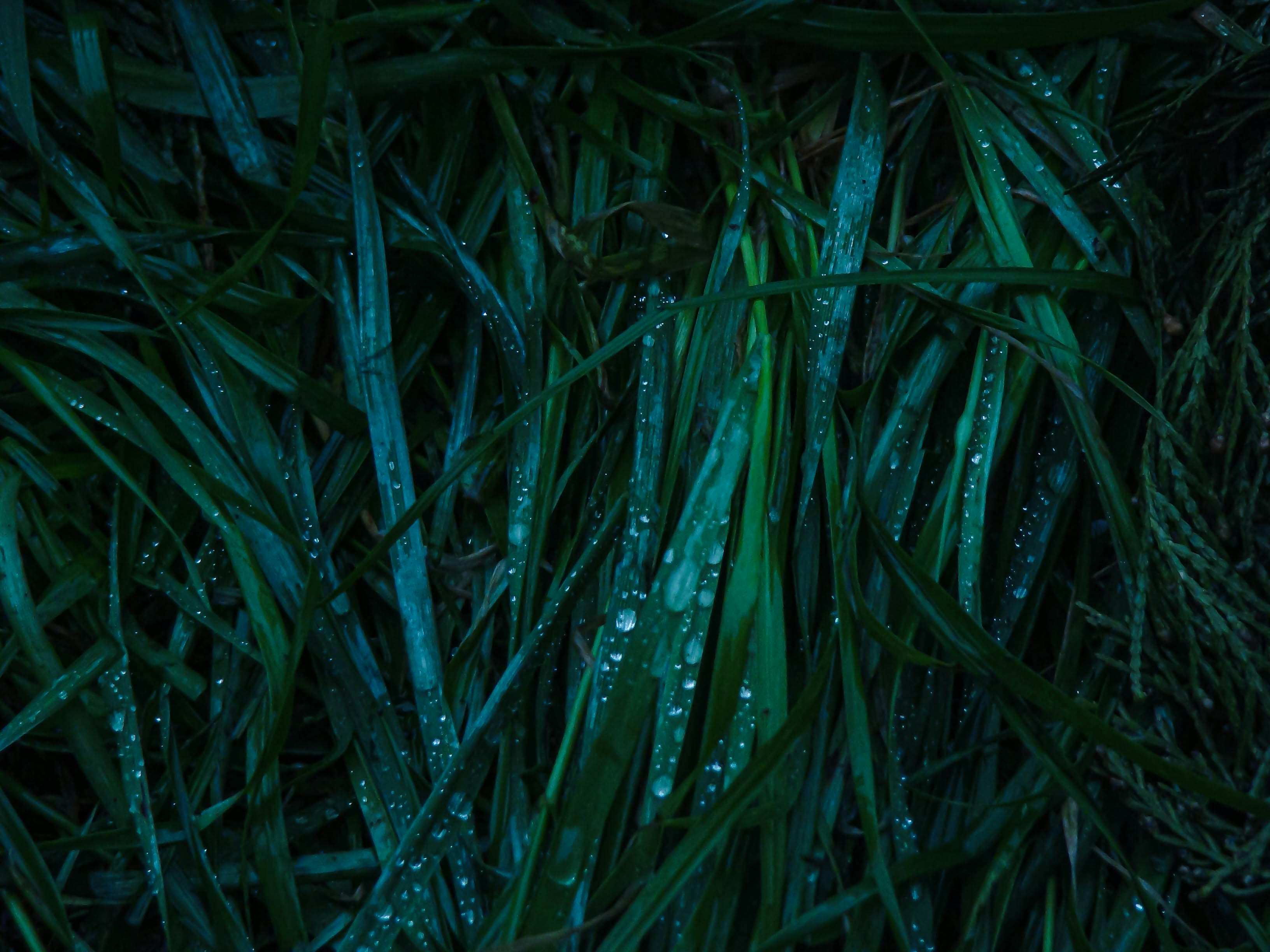 Photo by maro_of_sengu